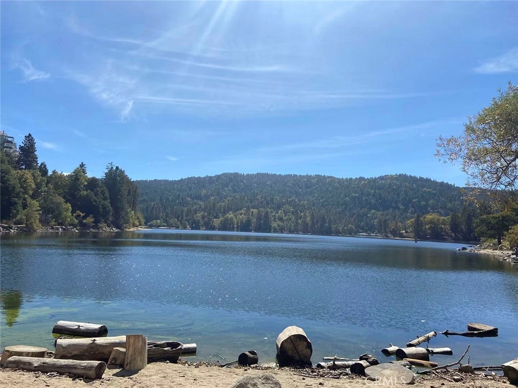 Crestline, California, 92325, United States, 3 Bedrooms Bedrooms, ,3 BathroomsBathrooms,Residential,For Sale,1939117