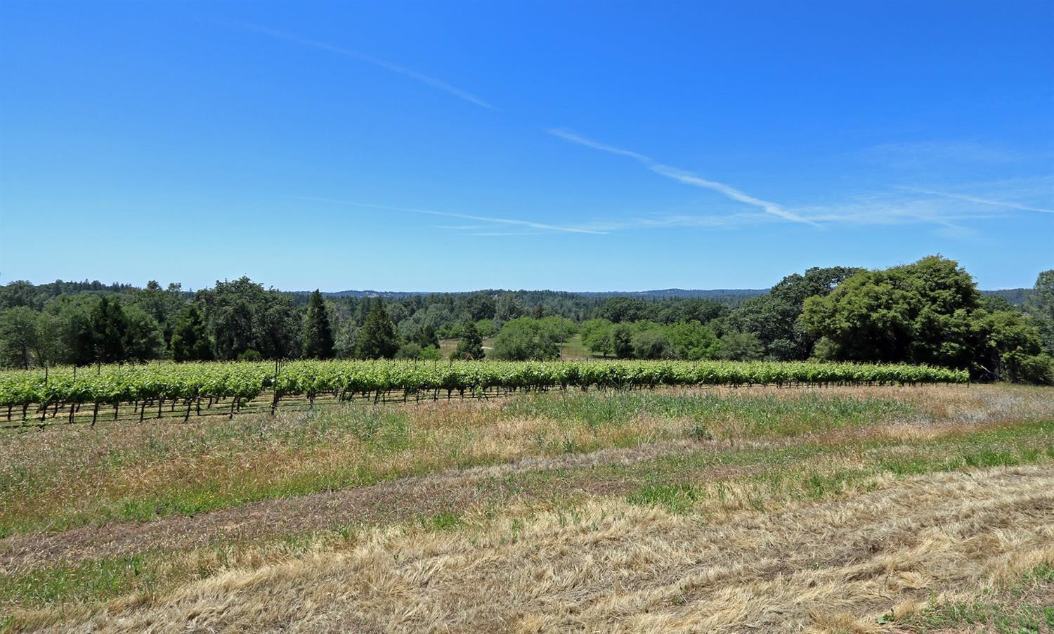 2145 Hidden Ranch Road, Somerset, California, 95684, United States, 3 Bedrooms Bedrooms, ,4 BathroomsBathrooms,Residential,For Sale,2145 Hidden Ranch Road,1048969