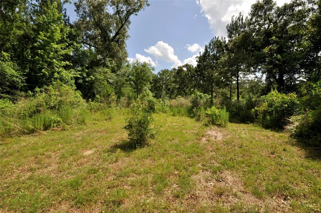 26150 Grand Pines Road, Magnolia, Texas, 77355, United States, ,Land,For Sale,26150 Grand Pines Road,1609479