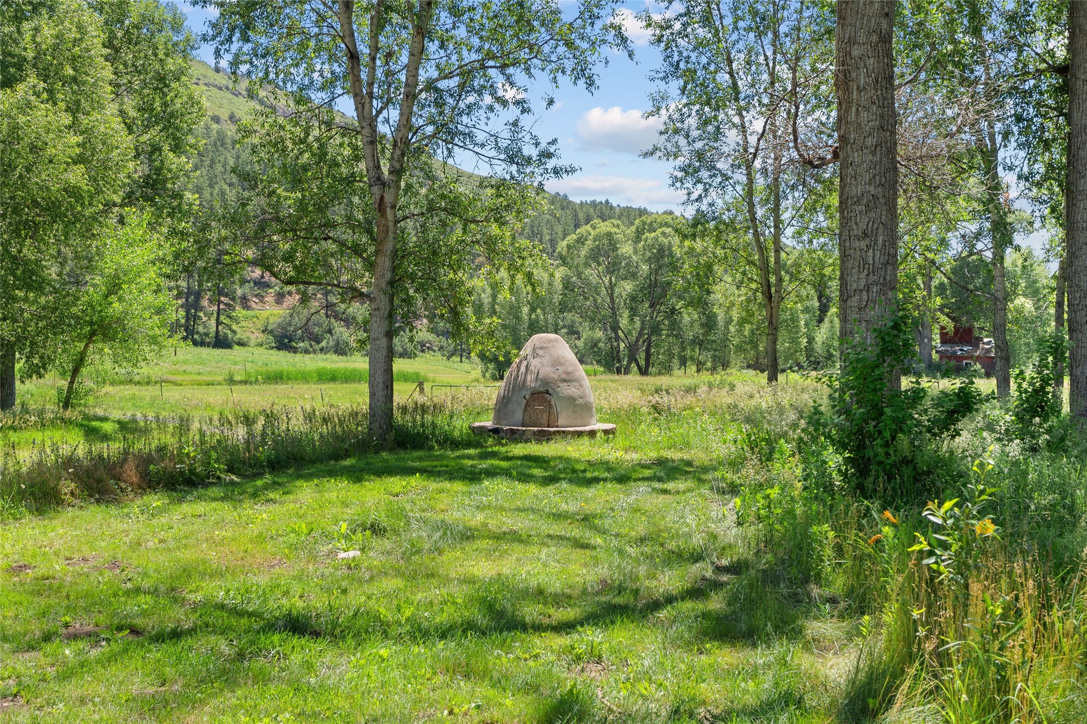  997 New Mexico Highway 65 - Rio de Vega Ranch - 物件實景