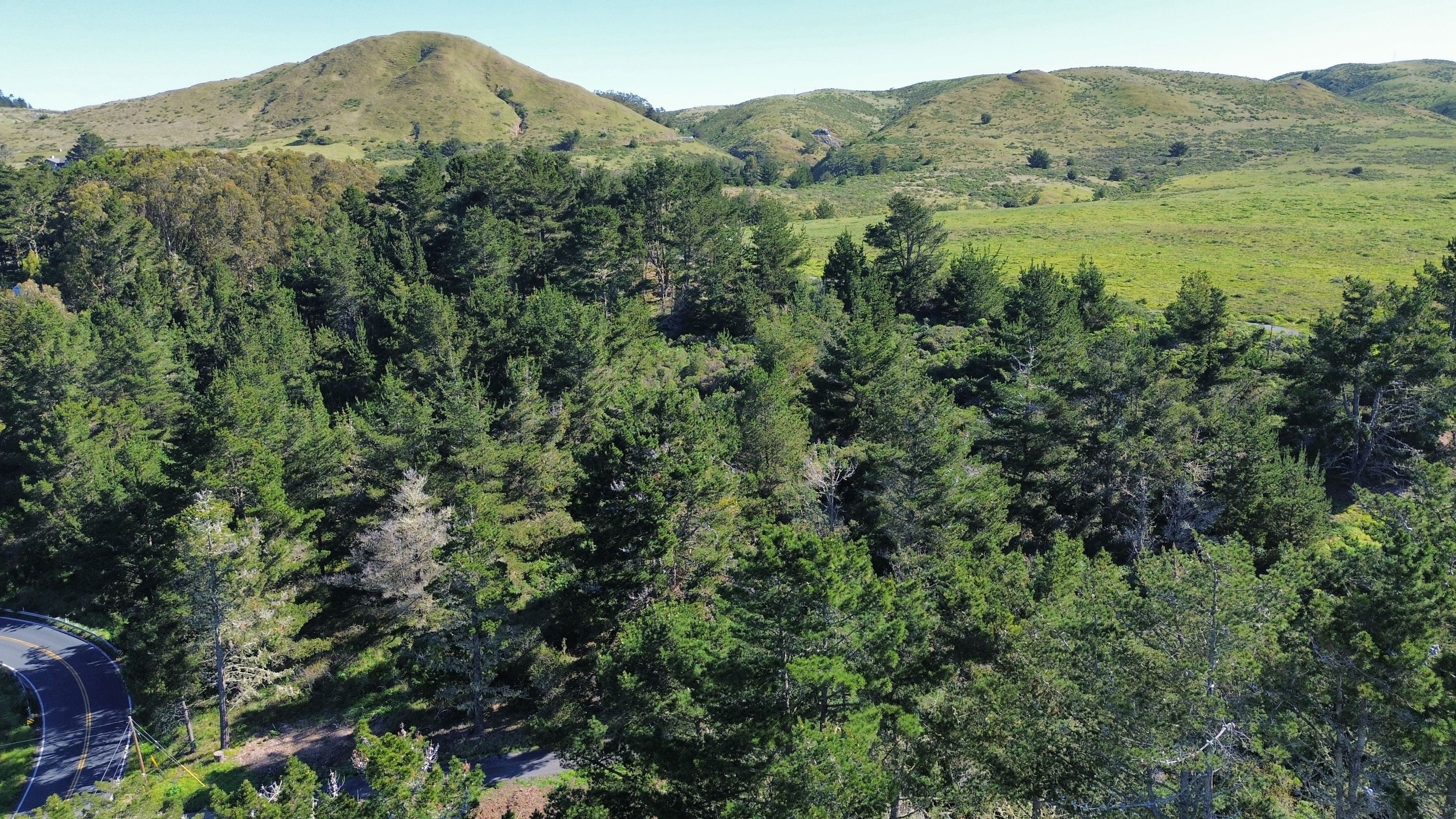  1534 California 1, Bodega Bay, CA 94923 - 物件實景