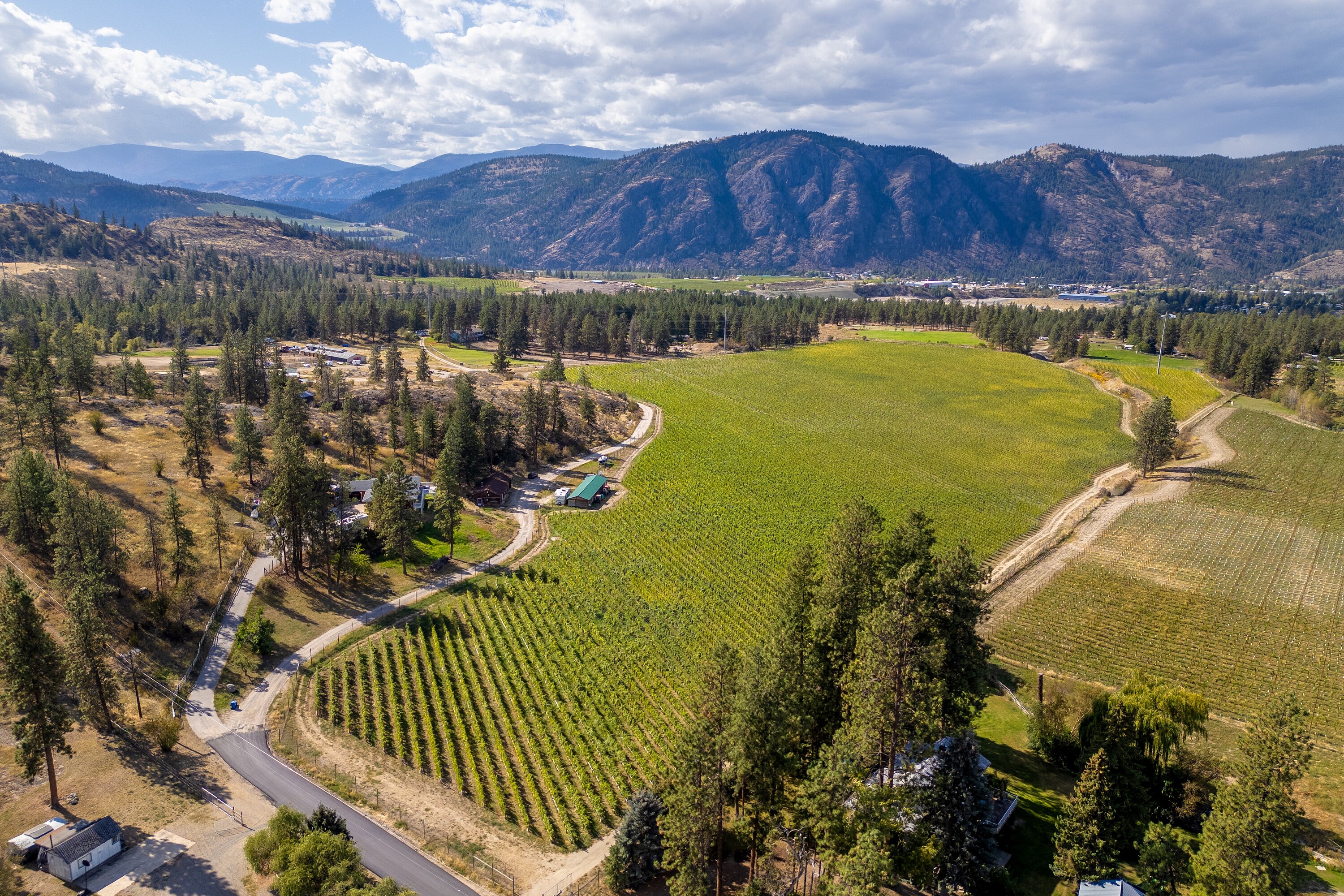  Vineyard in Okanagan Falls - 物件實景