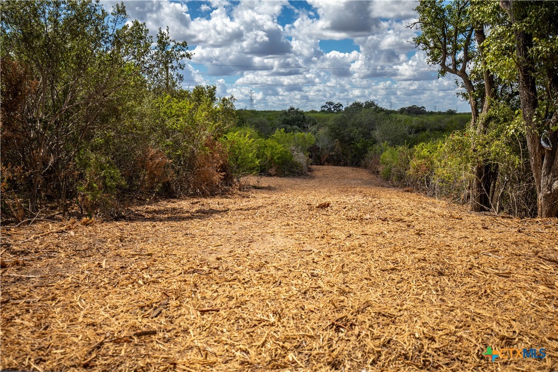 Cuero, Texas, 77954, United States, ,Residential,For Sale,1963995
