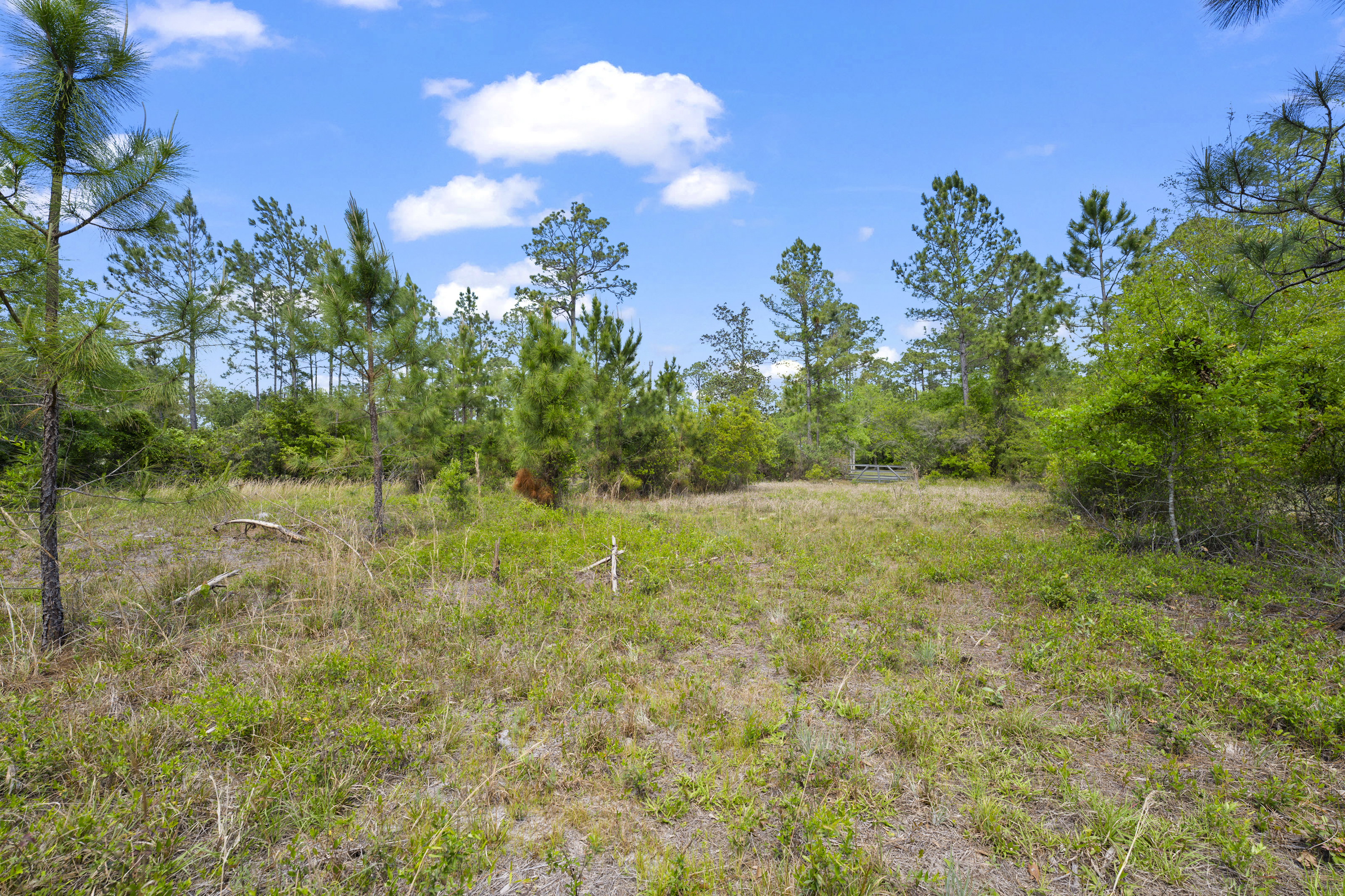  5371 Church Road, St. Augustine, FL, 32092 - 物件實景