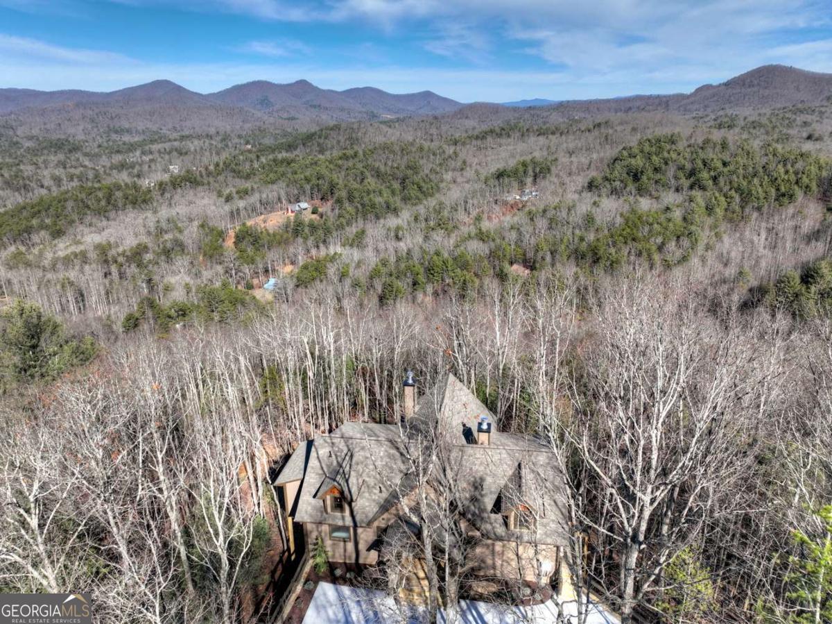 Mineral Bluff, Georgia, 30559, United States, 4 Bedrooms Bedrooms, ,4 BathroomsBathrooms,Residential,For Sale,2011407