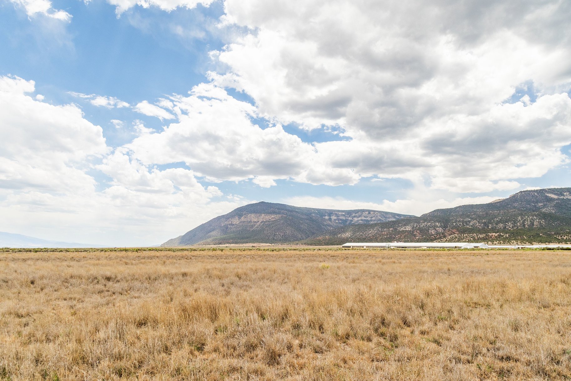  8.5-Acre Lots, No HOA, Stunning Horseshoe Mountain Views - 物件實景