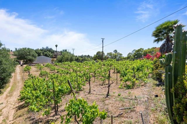 Fallbrook, California, 92028, United States, 3 Bedrooms Bedrooms, ,3 BathroomsBathrooms,Residential,For Sale,1817072