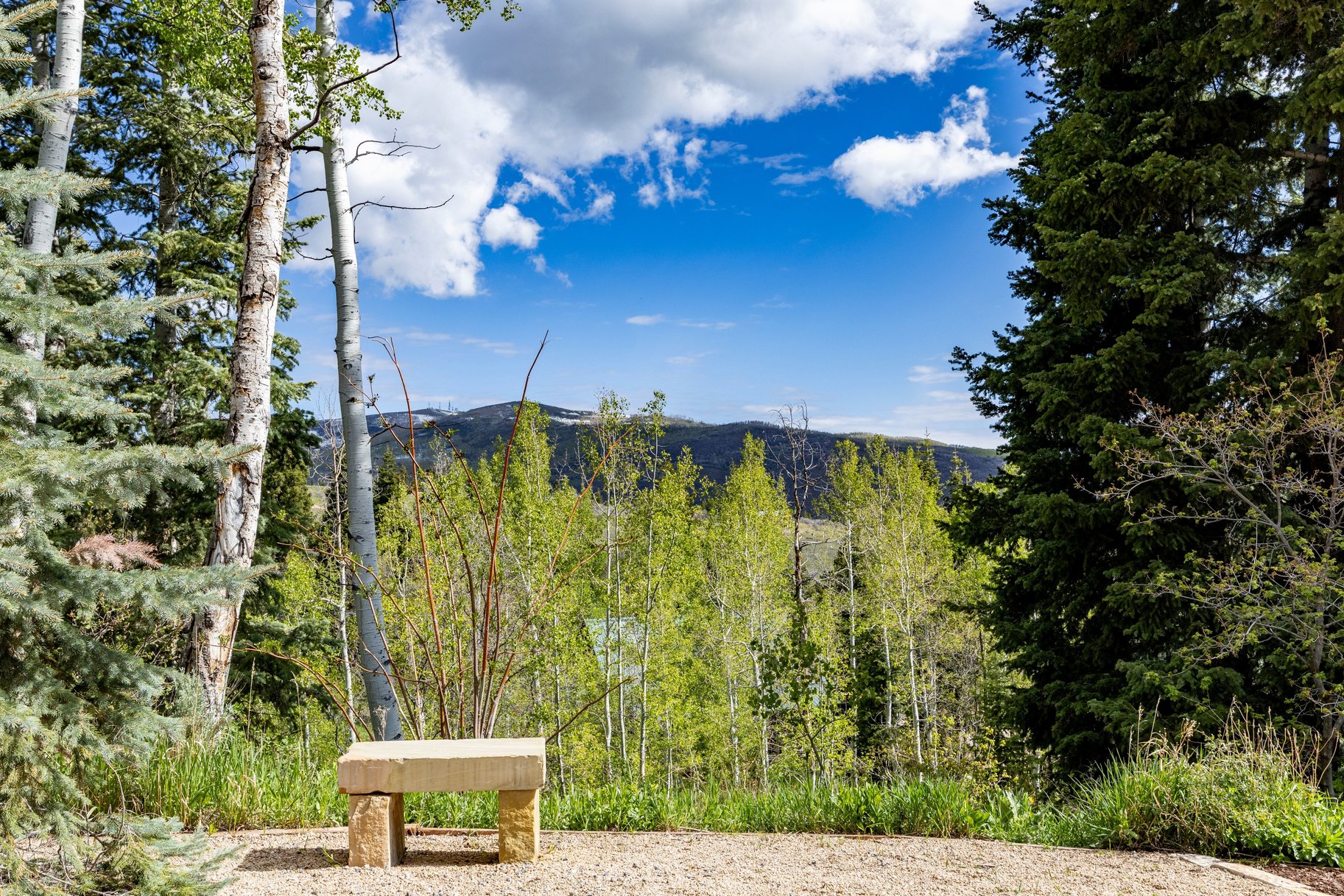  Luxury Mountain Estate on 5 Acres at the Edge of Park City - 物件實景