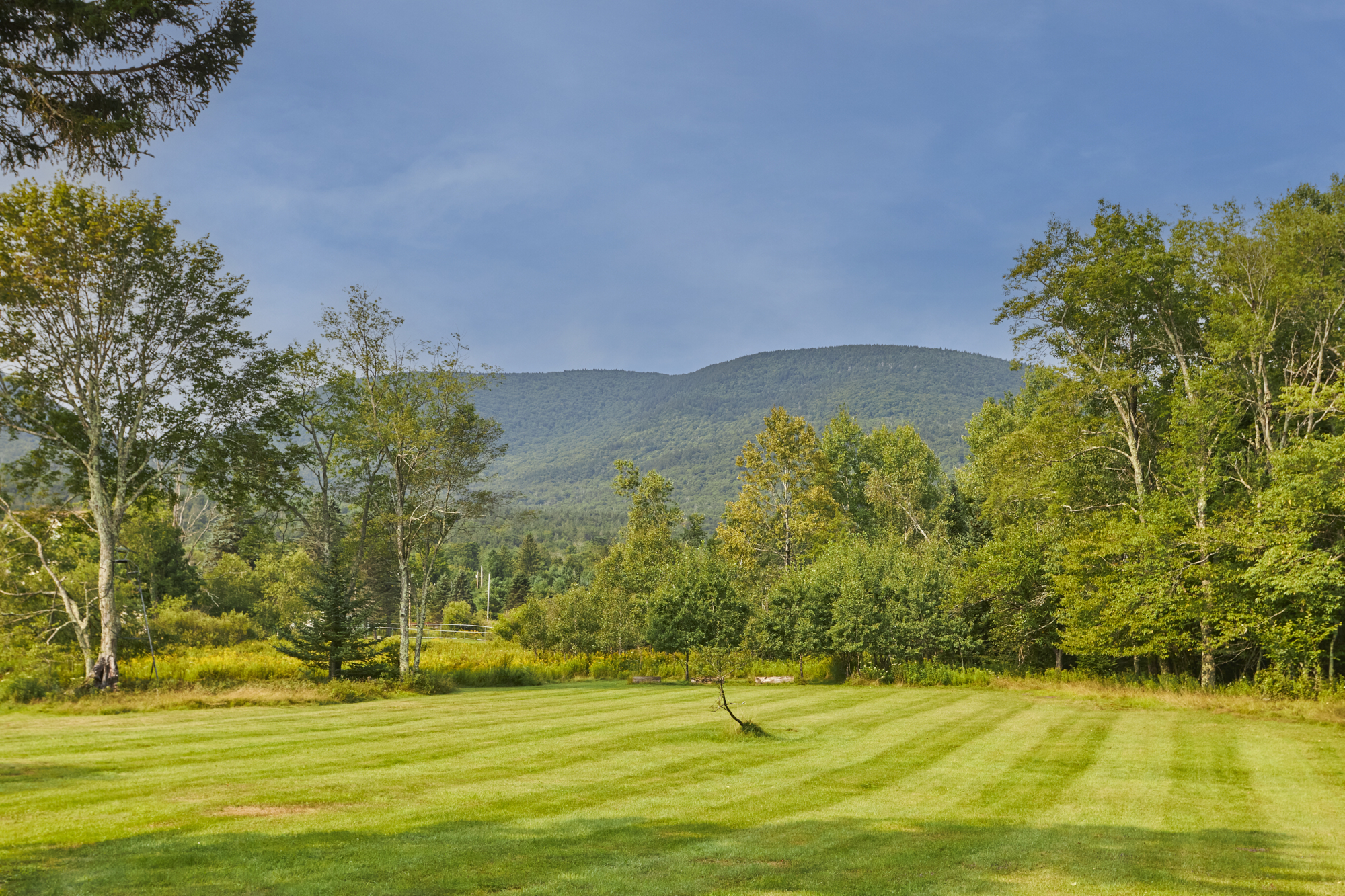  1658 Platte Clove Road, Elka Park, NY, 12427 - 物件實景