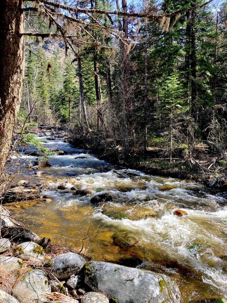 Riggins, Idaho, 83549, United States, 1 Bedroom Bedrooms, ,Residential,For Sale,1762926