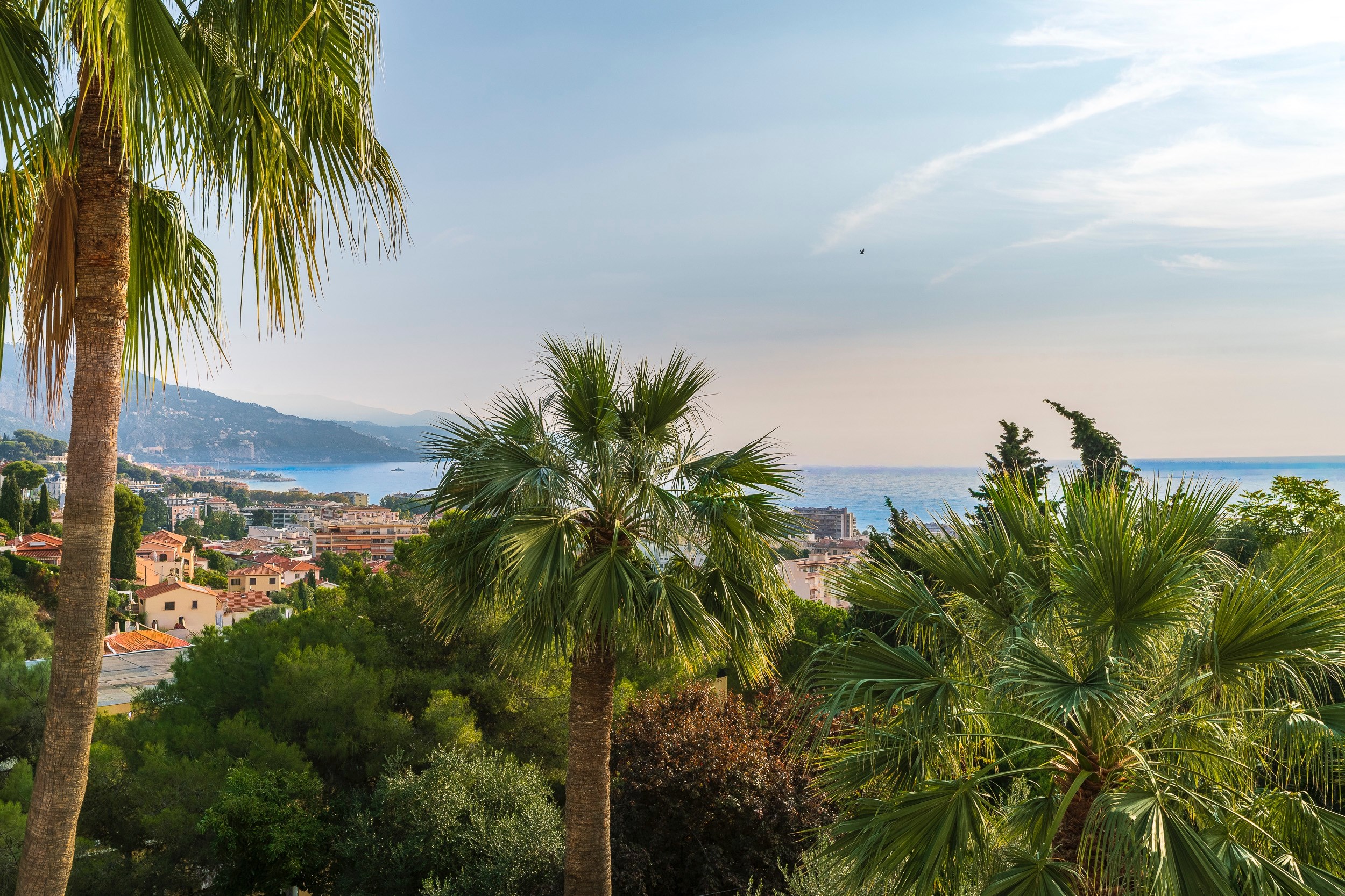  Renovated contemporary villa with pool near Monaco in Roquebrune-Cap-Martin - 物件實景