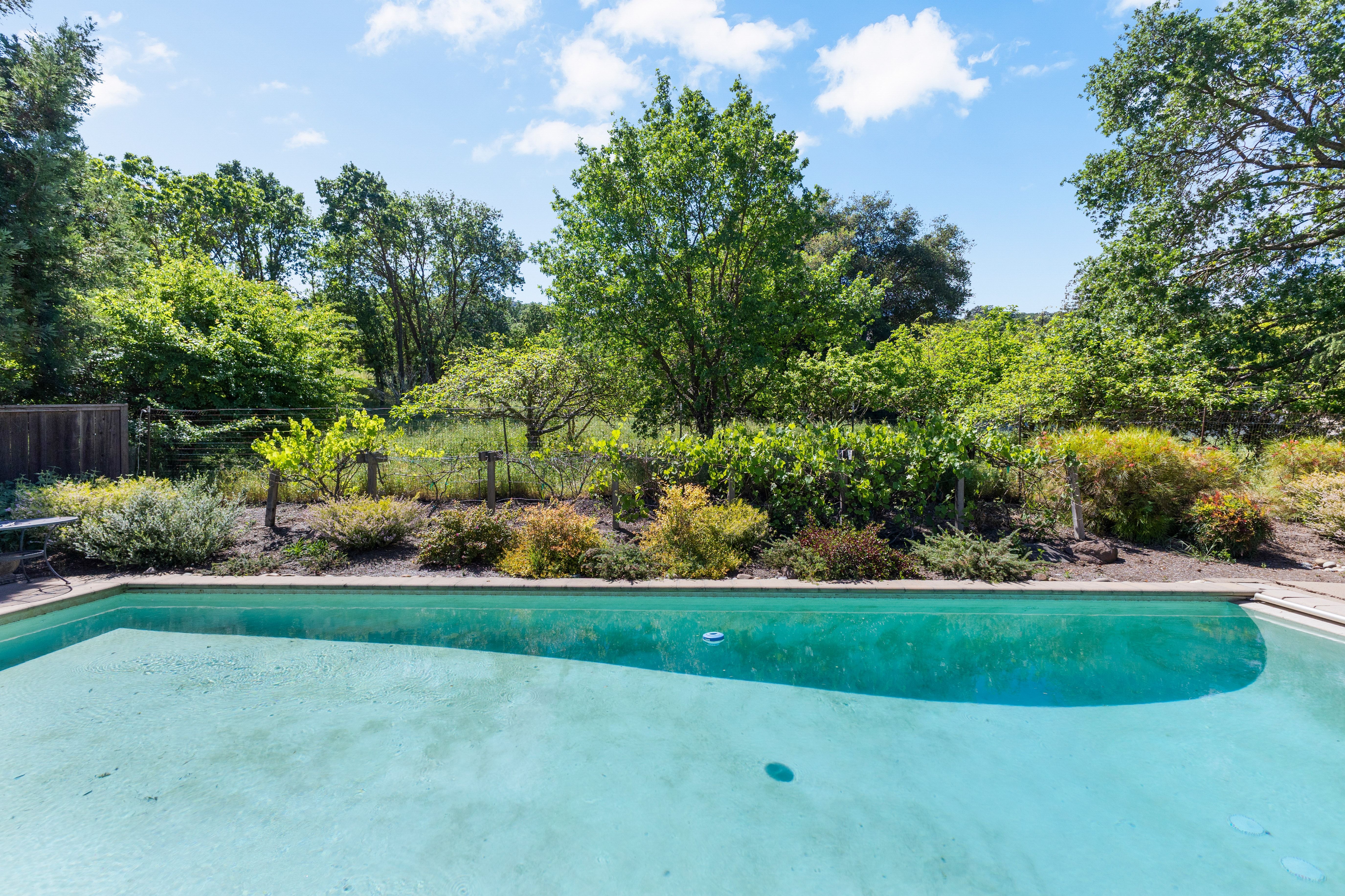  Grand Westside Danville Estate on Rare 0.60± Acre  Masterfully Reimagined - 物件實景