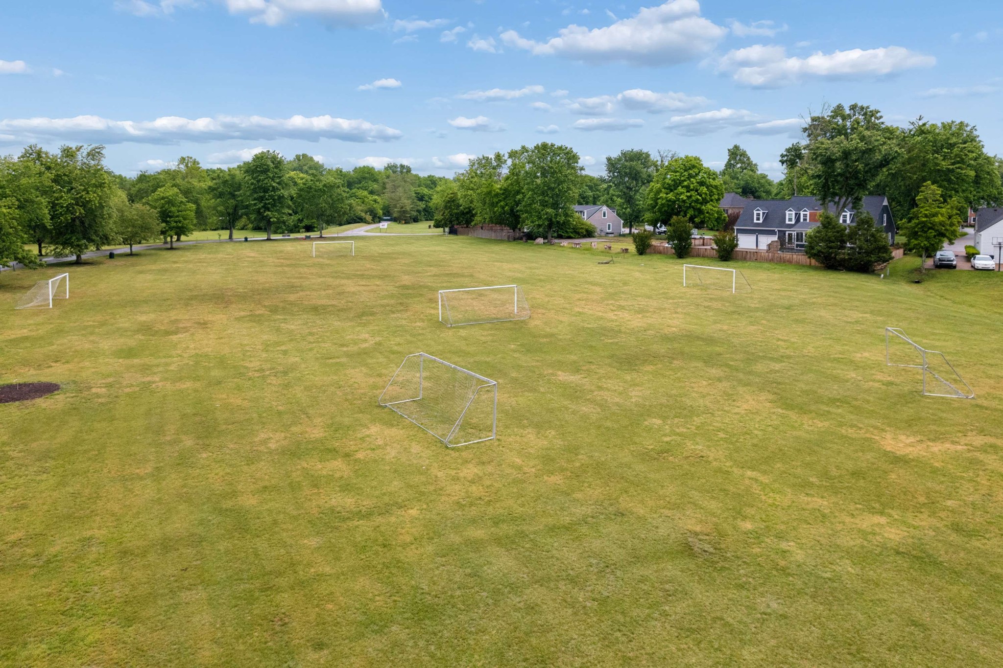  141 Cottonwood Dr, Franklin, TN, 37069 - 物件實景