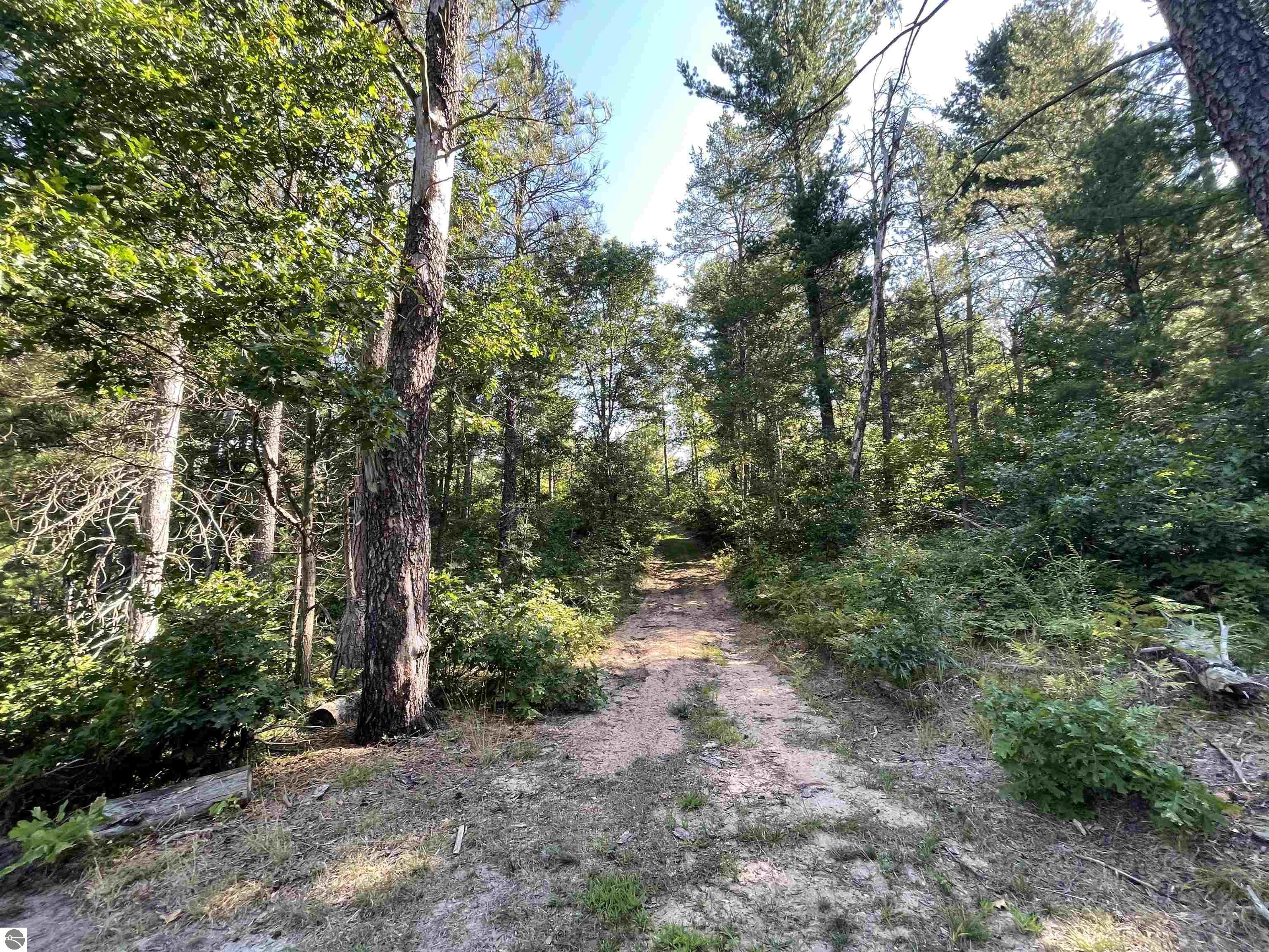 Harrison, Michigan, 48625, United States, 3 Bedrooms Bedrooms, ,3 BathroomsBathrooms,Residential,For Sale,2007546