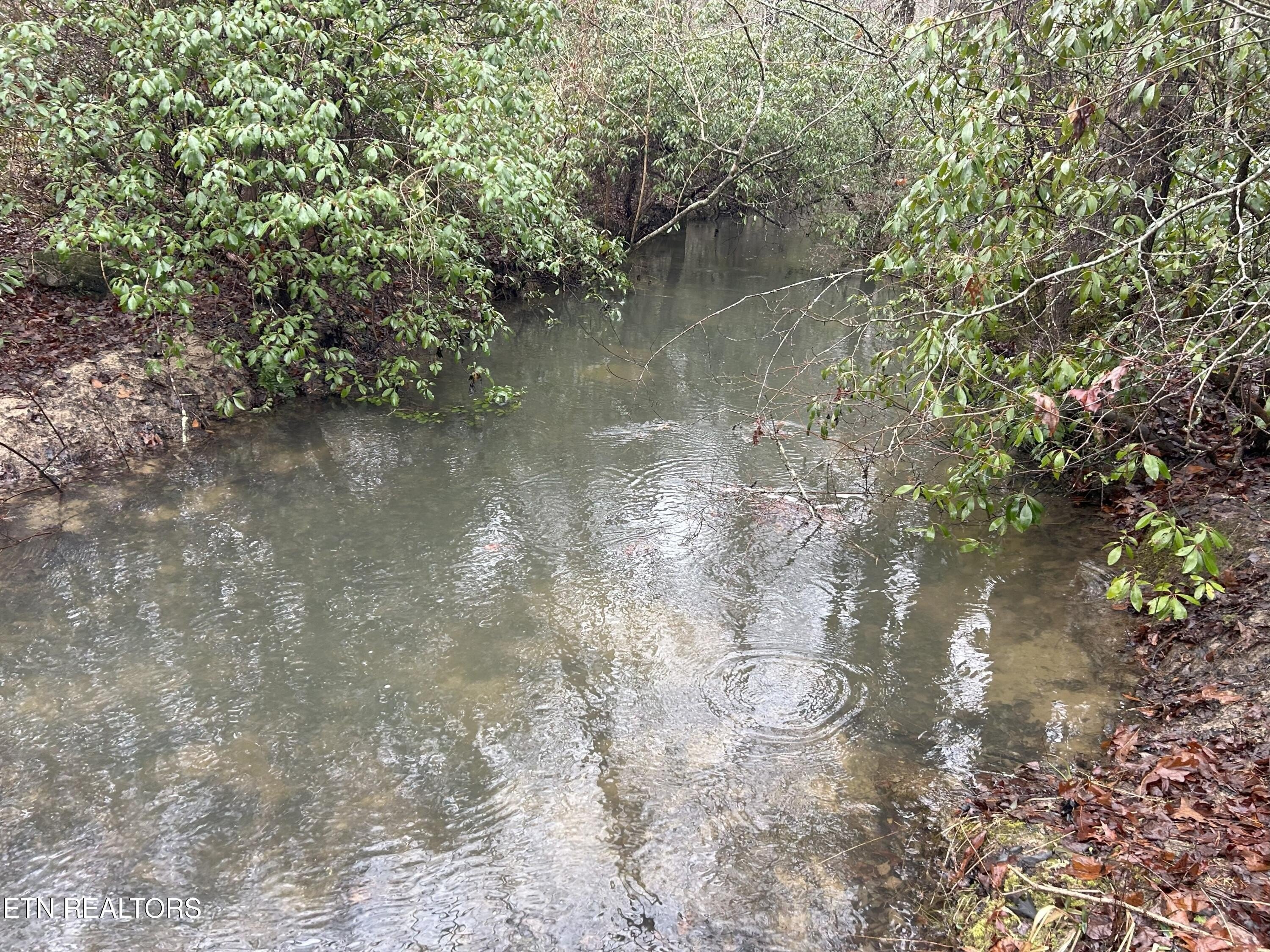 Crossville, Tennessee, 38571, United States, 3 Bedrooms Bedrooms, ,4 BathroomsBathrooms,Residential,For Sale,1979710