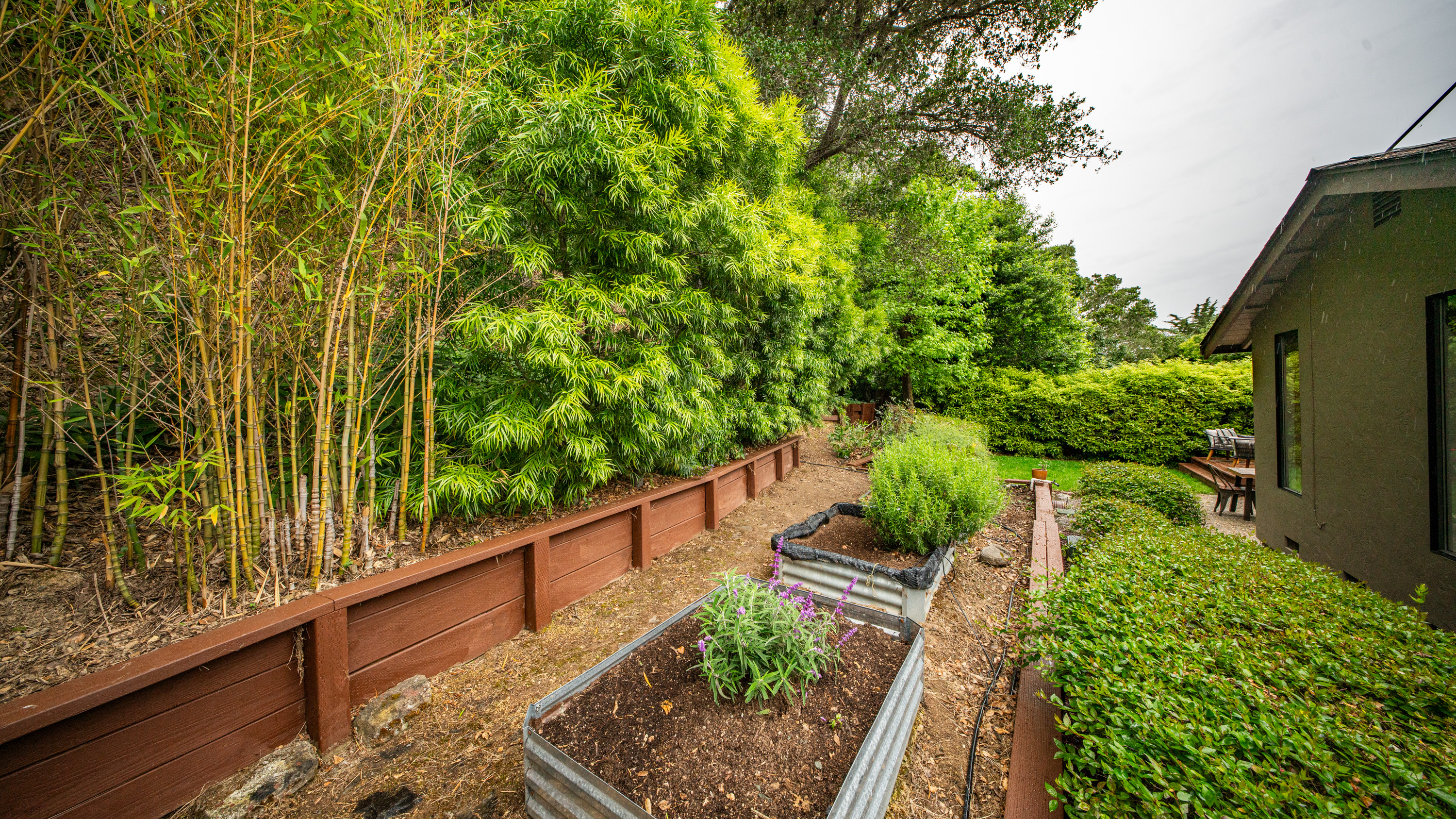  Expanded Single Story Home in Desirable Southern Novato - 物件實景
