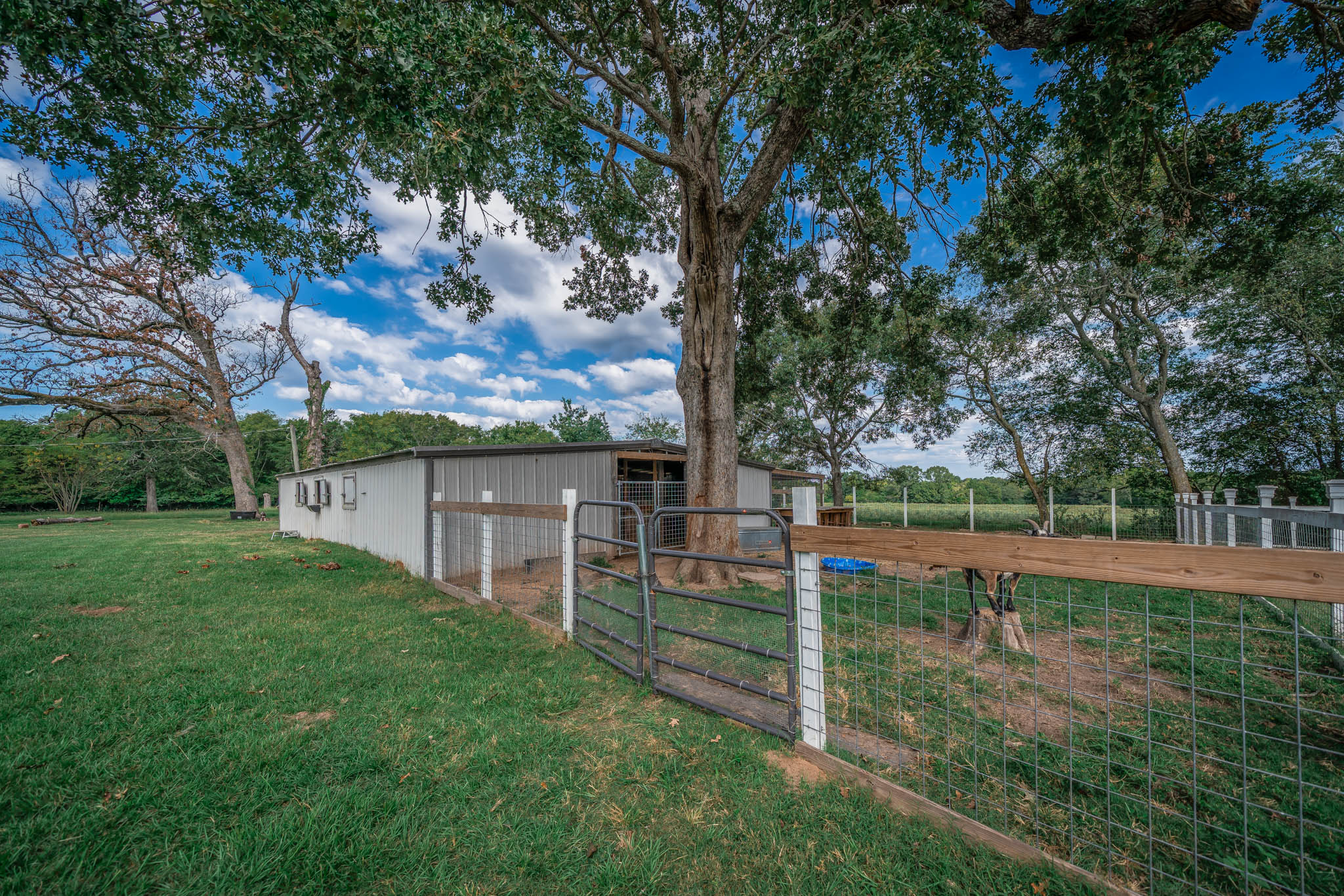 Jacksonville, Texas, 75766, United States, 4 Bedrooms Bedrooms, ,3 BathroomsBathrooms,Residential,For Sale,1975074