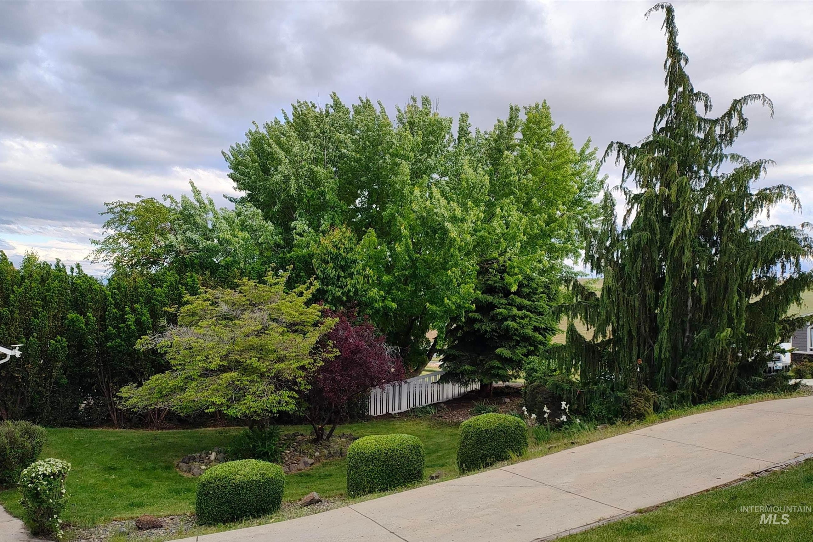 Clarkston, Washington, 99403, United States, 6 Bedrooms Bedrooms, ,3 BathroomsBathrooms,Residential,For Sale,2005676