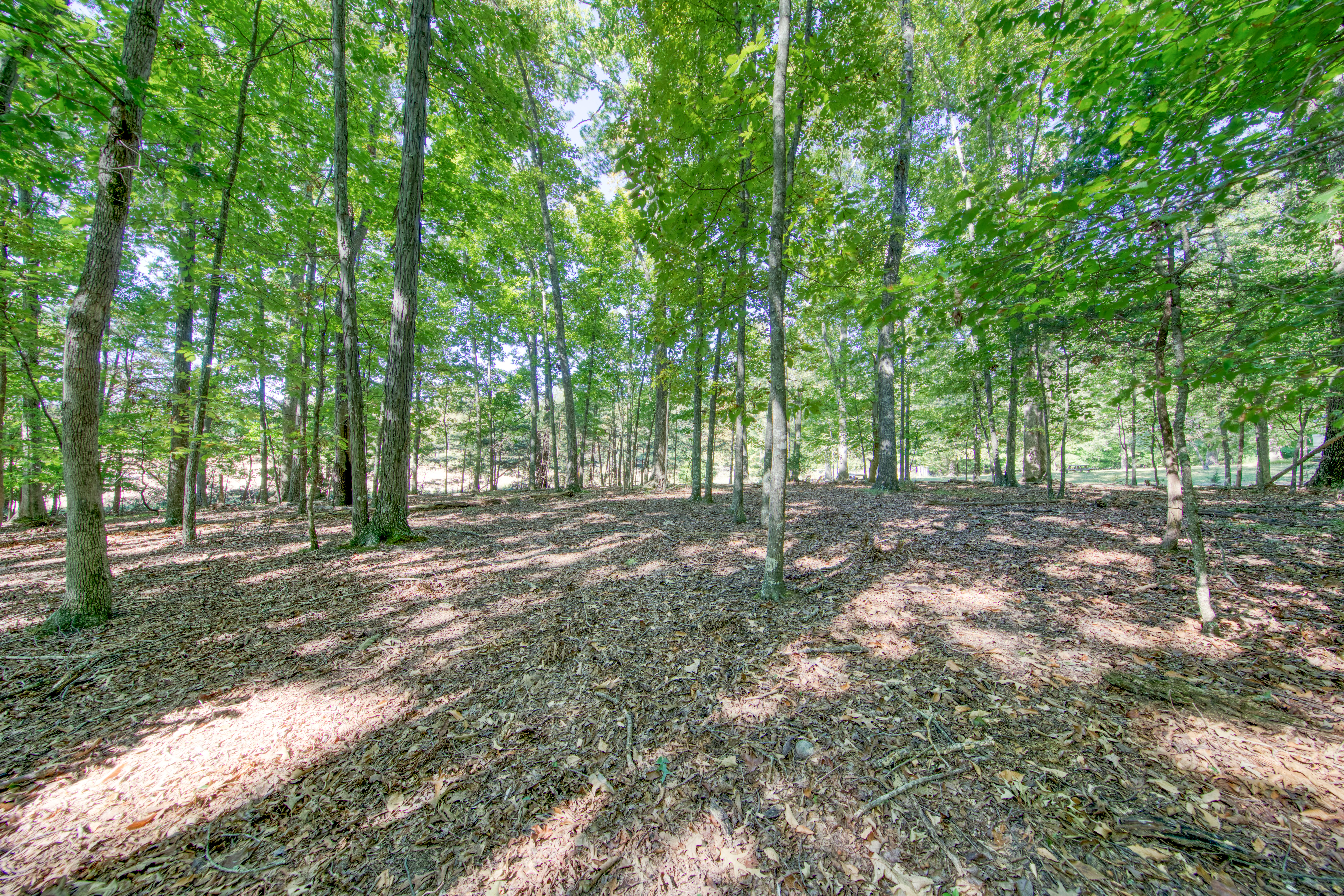  1549 Wise Way, Dandridge, TN 37725 - 物件實景