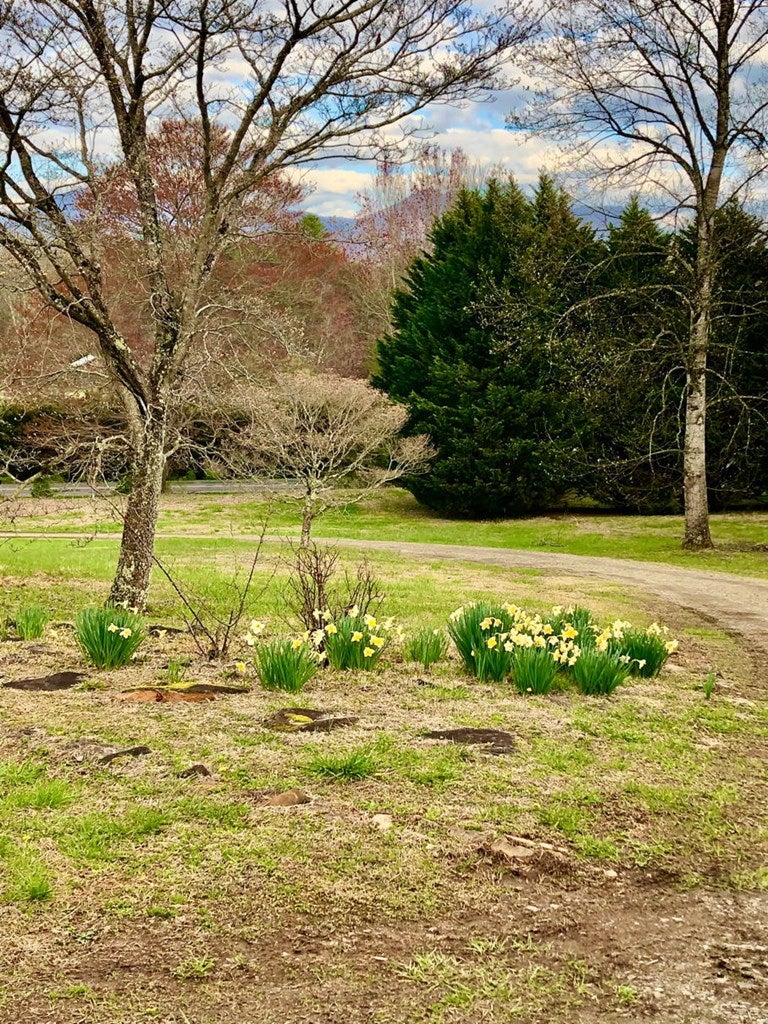 Hiawassee, Georgia, 30546, United States, 3 Bedrooms Bedrooms, ,2 BathroomsBathrooms,Residential,For Sale,1761717