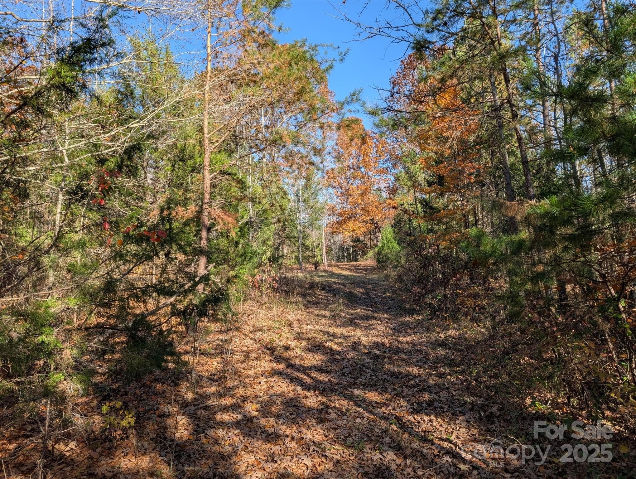 Salisbury, North Carolina, 28147, United States, ,Land,For Sale,1996519