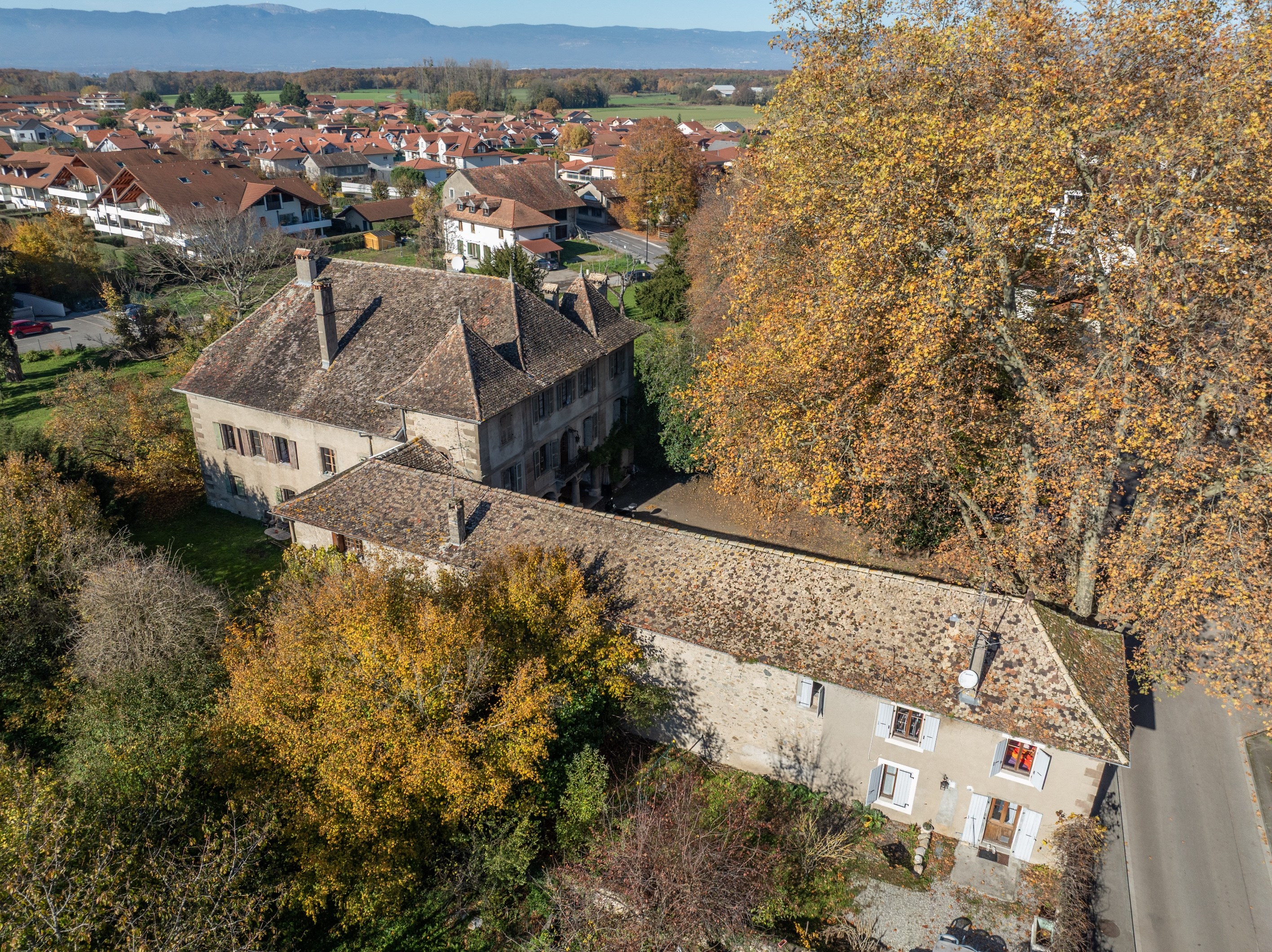  Exceptional manor at the gates of Geneva - 物件實景