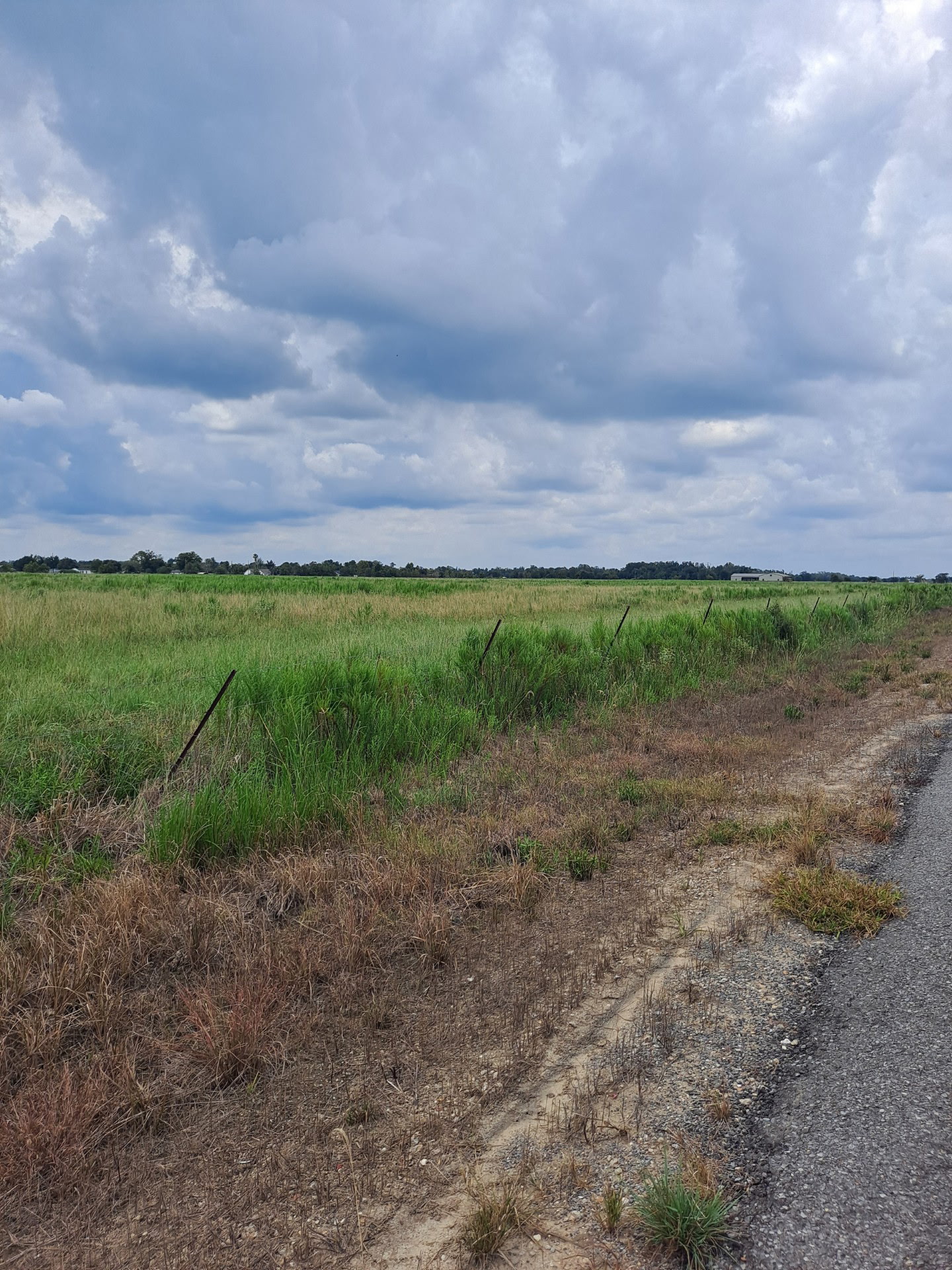Lake Charles, Louisiana, 70605, United States, ,Residential,For Sale,1937323
