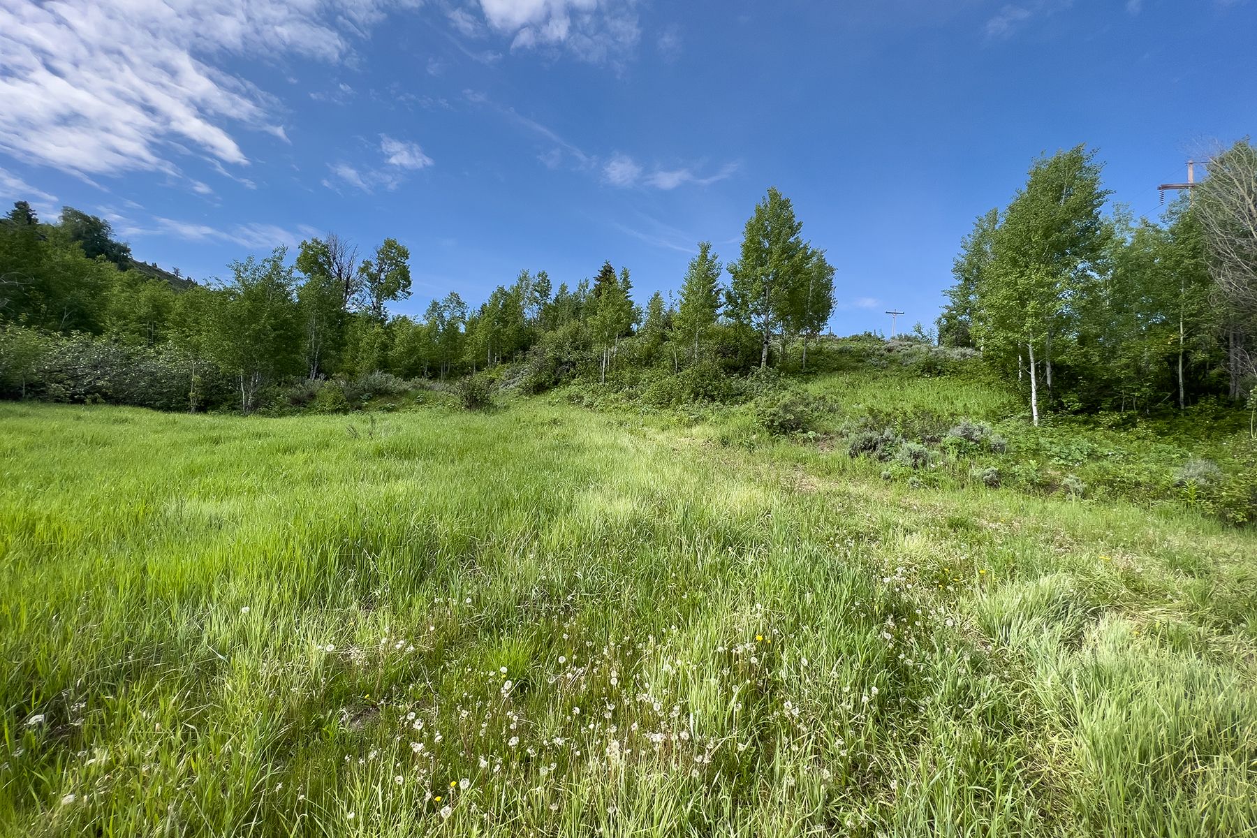 Rodeo Road - 物件實景