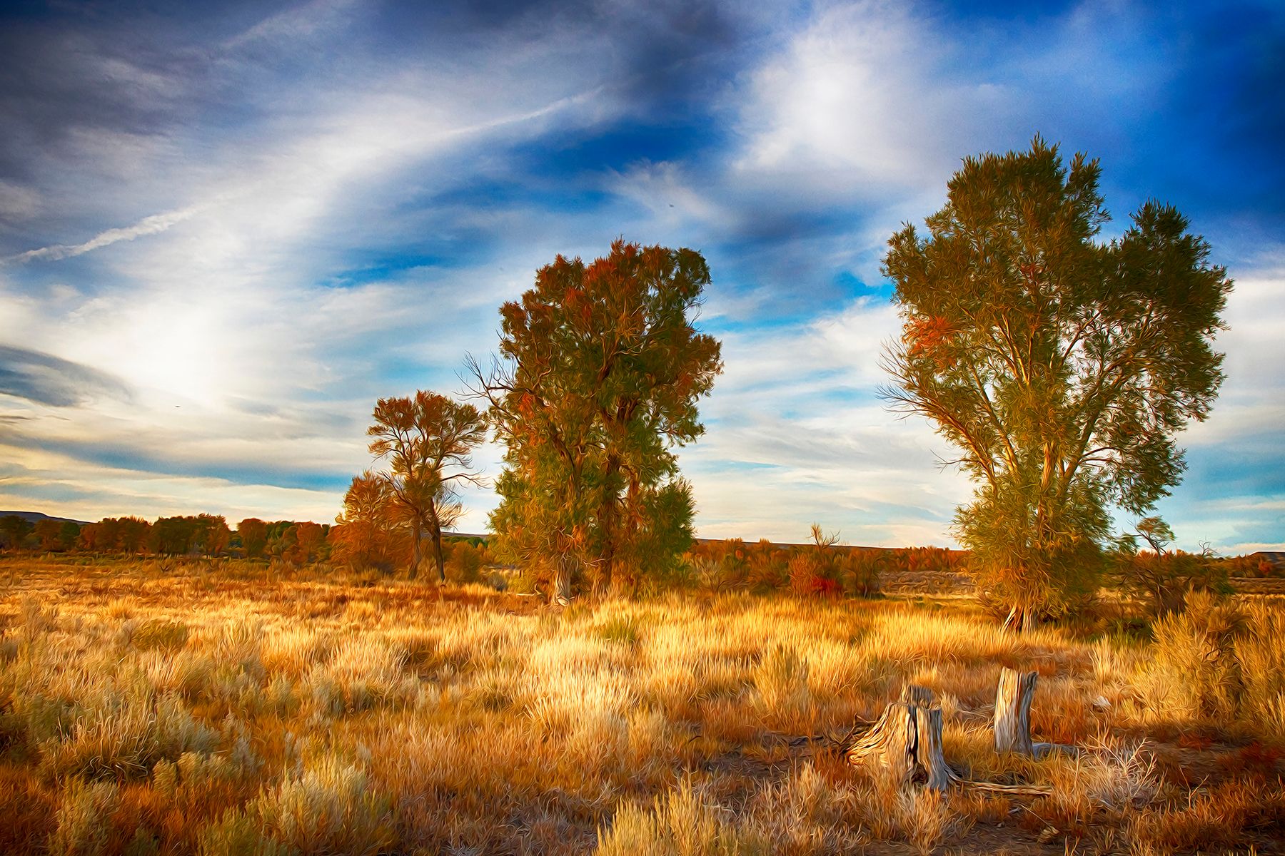 Wind River Ranch - 物件實景
