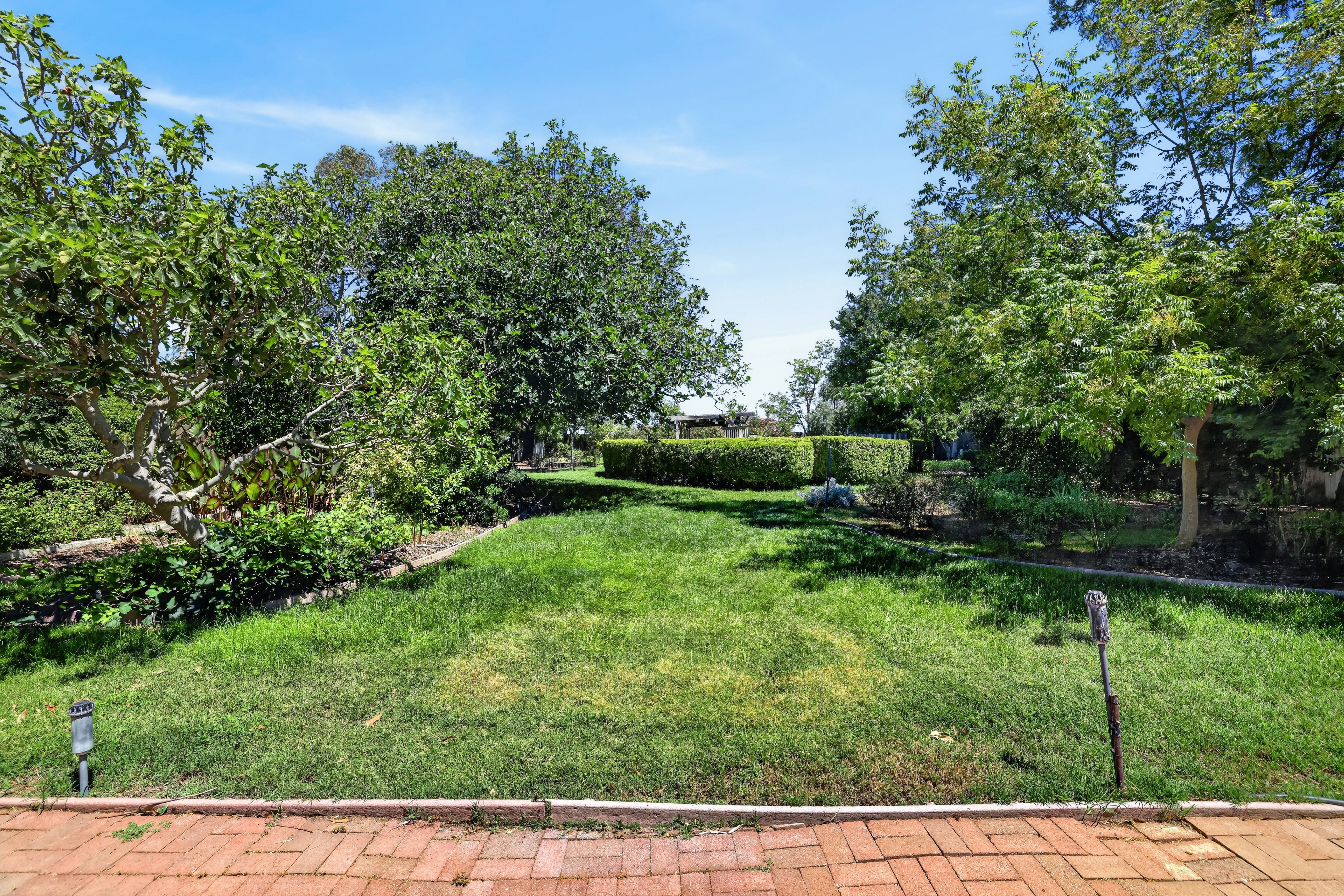  39870 Sharon Avenue, Davis, CA 95616 - 物件實景