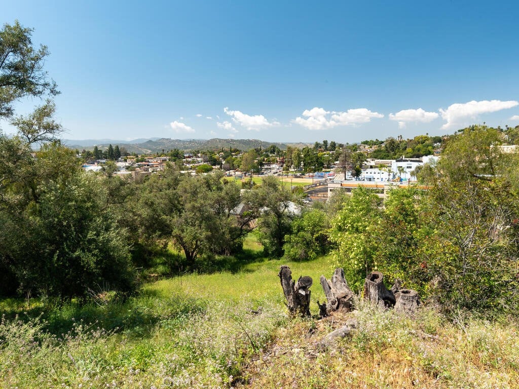 Fallbrook, California, 92028, United States, ,Land,For Sale,1805274