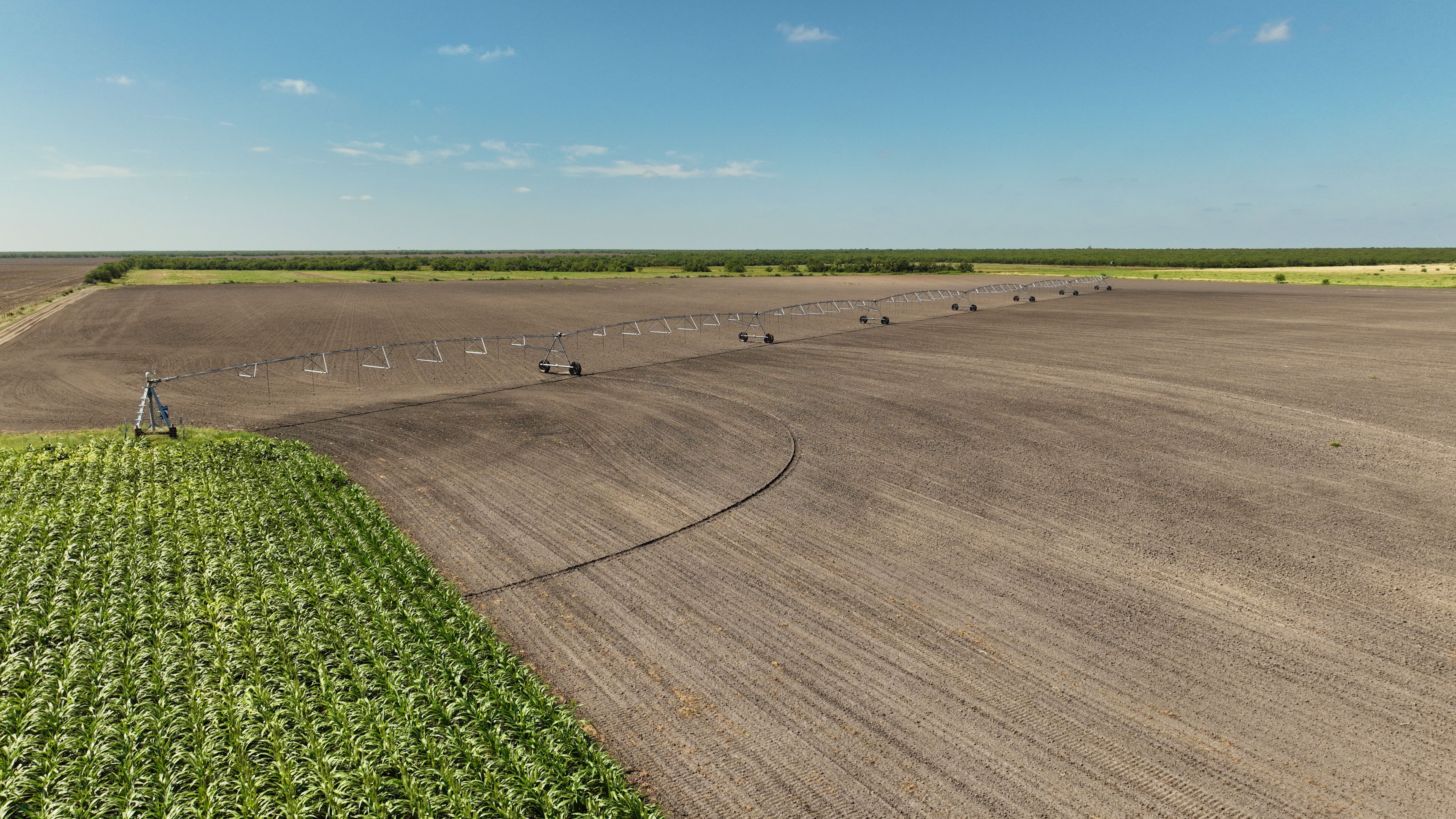  375+/- La Pryor Farm, Zavala County , La Pryor, TX 78872 - 物件實景