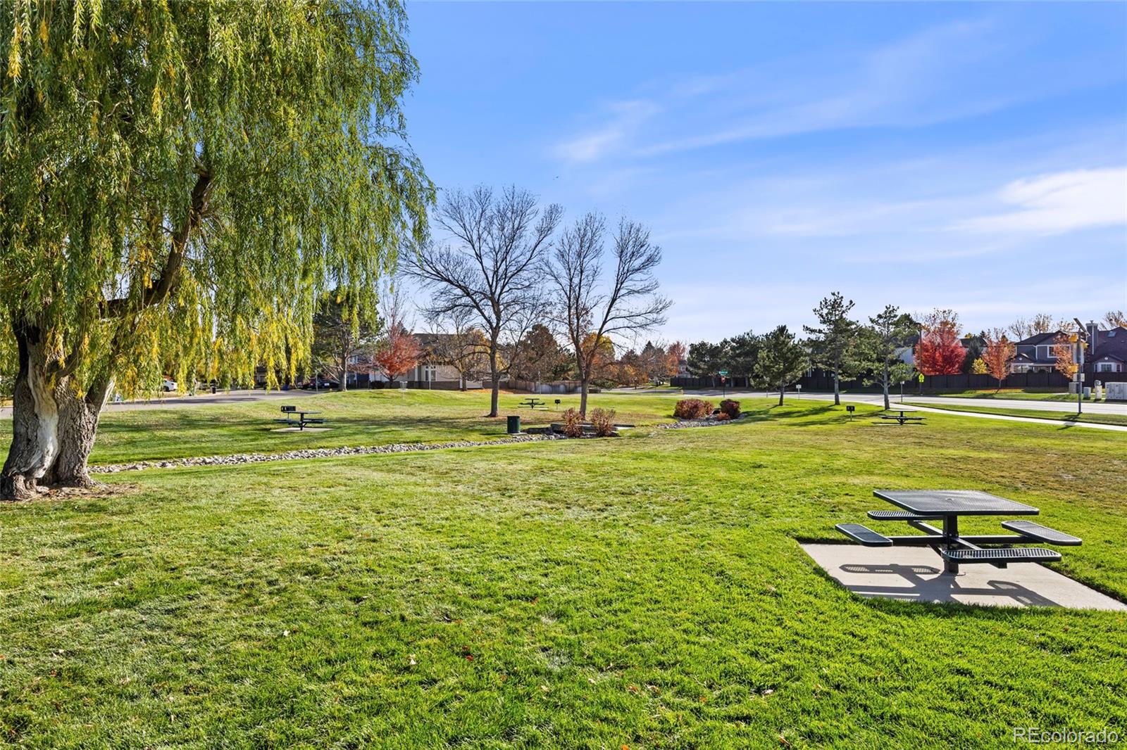 Parker, Colorado, 80134, United States, 3 Bedrooms Bedrooms, ,3 BathroomsBathrooms,Residential,For Sale,1989330