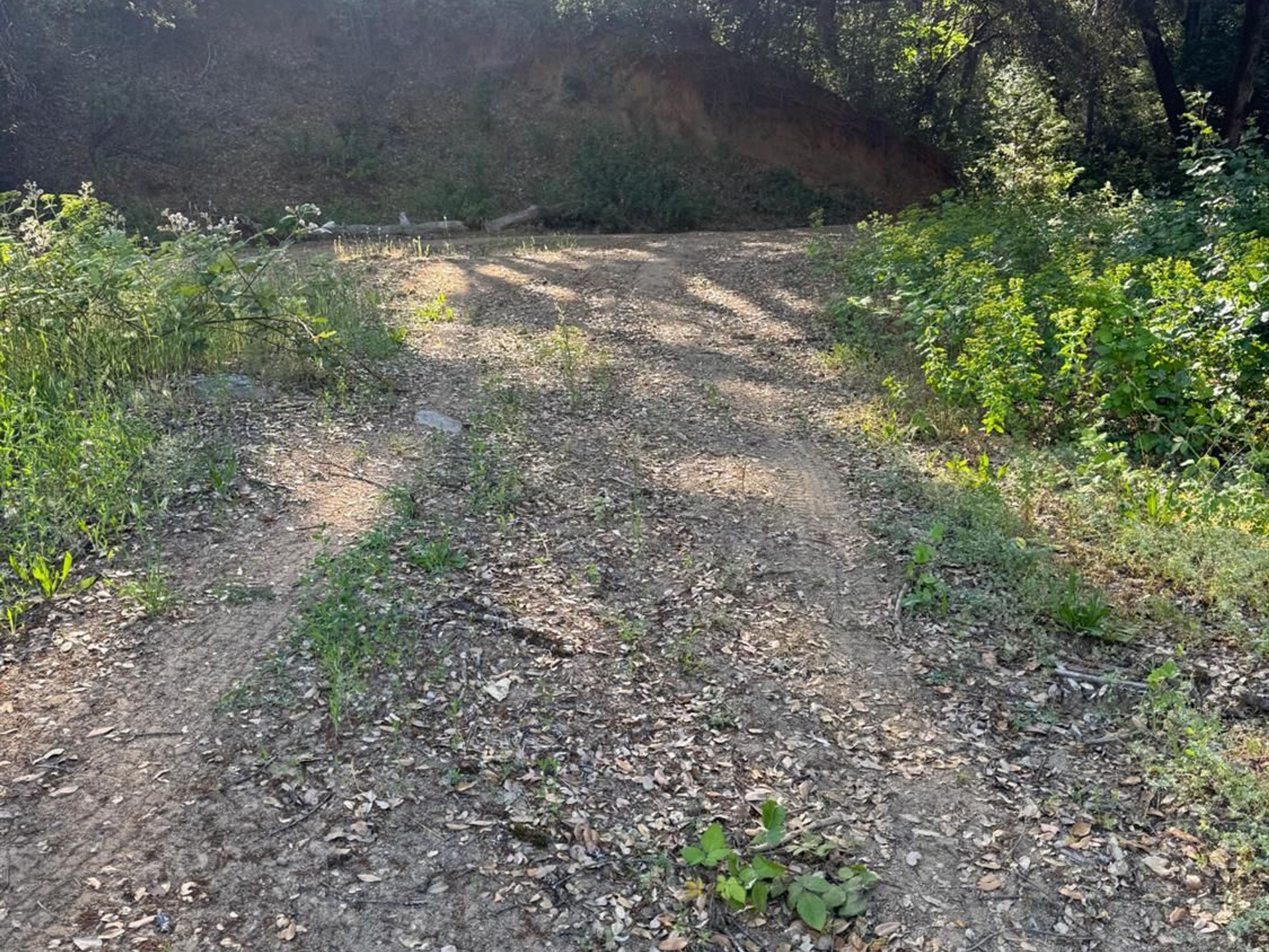  0 Old Country Road, West Point, CA 95255 - 物件實景