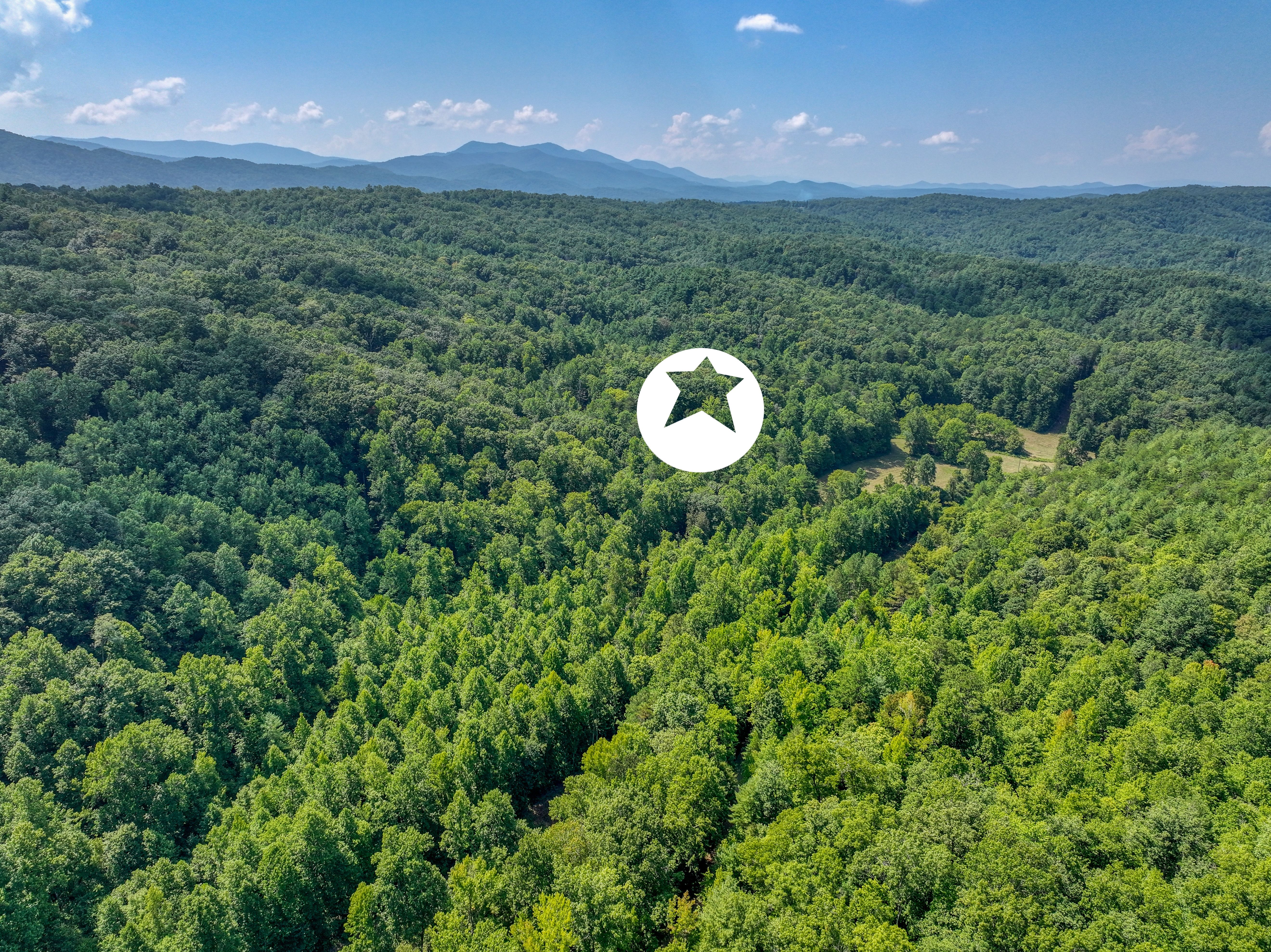  Belcher Loop, Tellico Plains, TN 37385 - 物件實景
