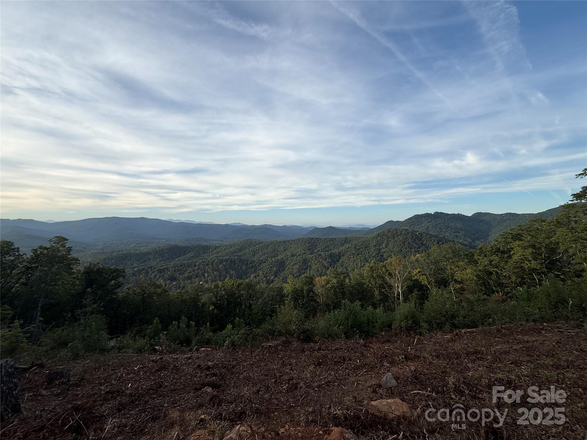 Union Mills, North Carolina, 28167, United States, ,Land,For Sale,2002557