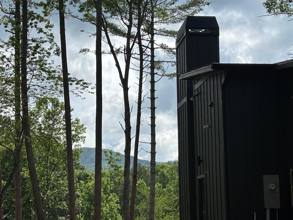 Mineral Bluff, Georgia, 30559, United States, 3 Bedrooms Bedrooms, ,3 BathroomsBathrooms,Residential,For Sale,2007594