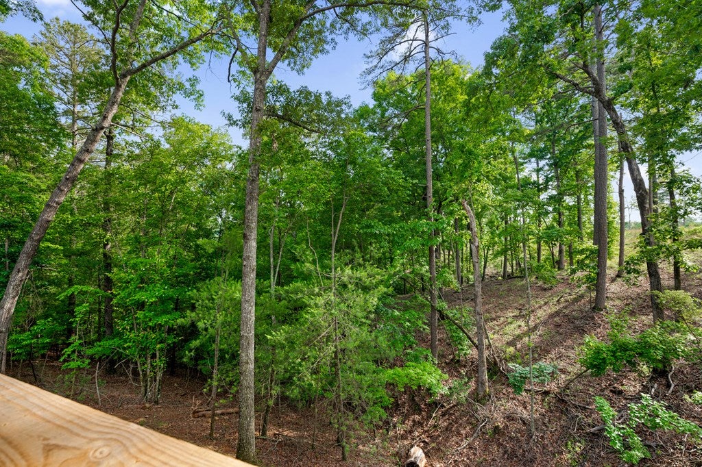 Ellijay, Georgia, 30540, United States, 3 Bedrooms Bedrooms, ,3 BathroomsBathrooms,Residential,For Sale,1840350