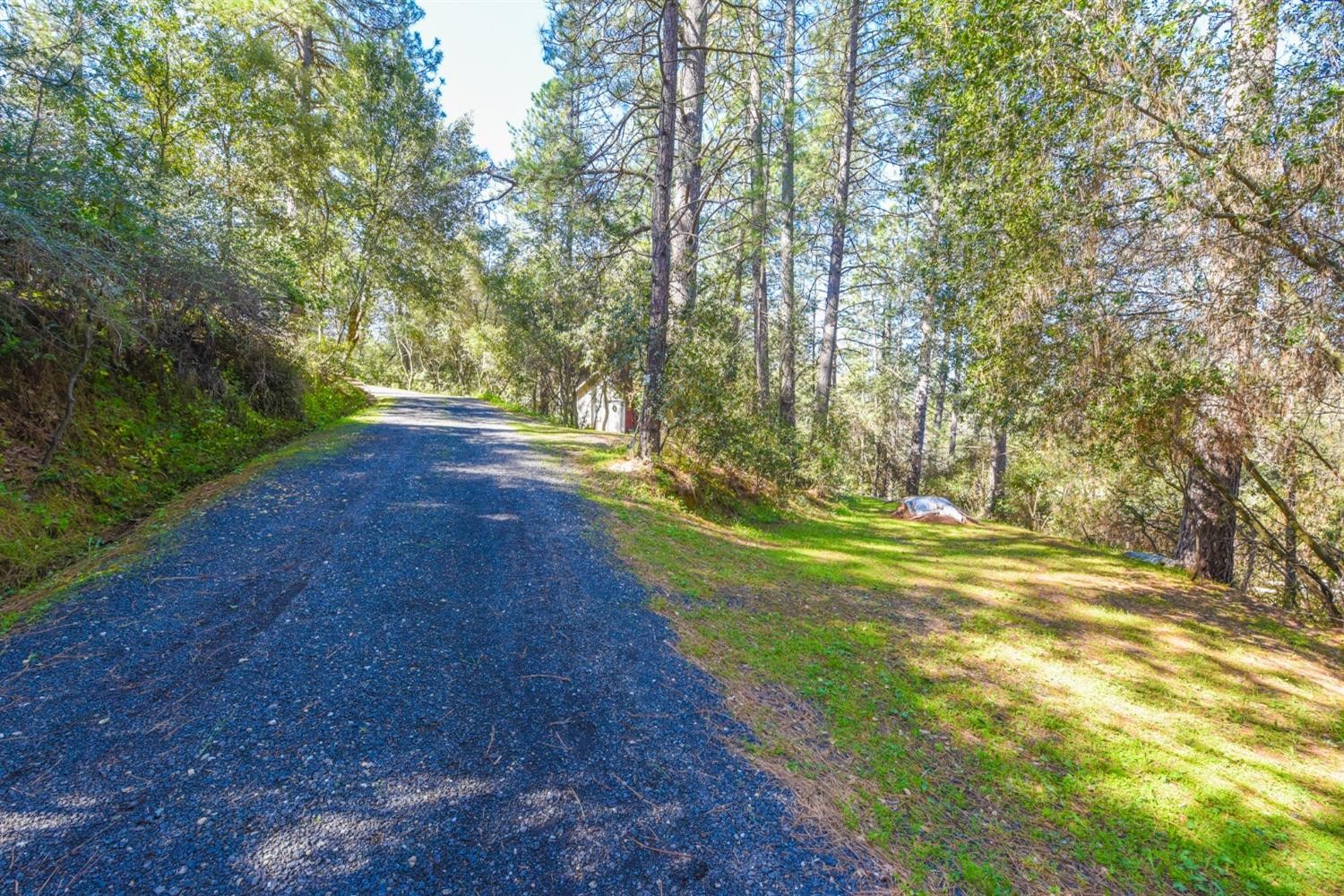 21895-286 Sawmill Flat Road, Sonora, California, 95370, United States, 4 Bedrooms Bedrooms, ,4 BathroomsBathrooms,Residential,For Sale,21895-286 Sawmill Flat Road,1504335