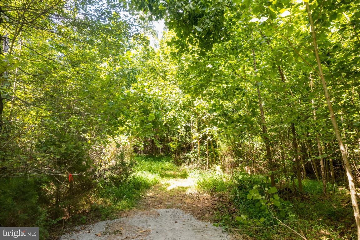 Reva, Virginia, 22735, United States, ,Residential,For Sale,1982526