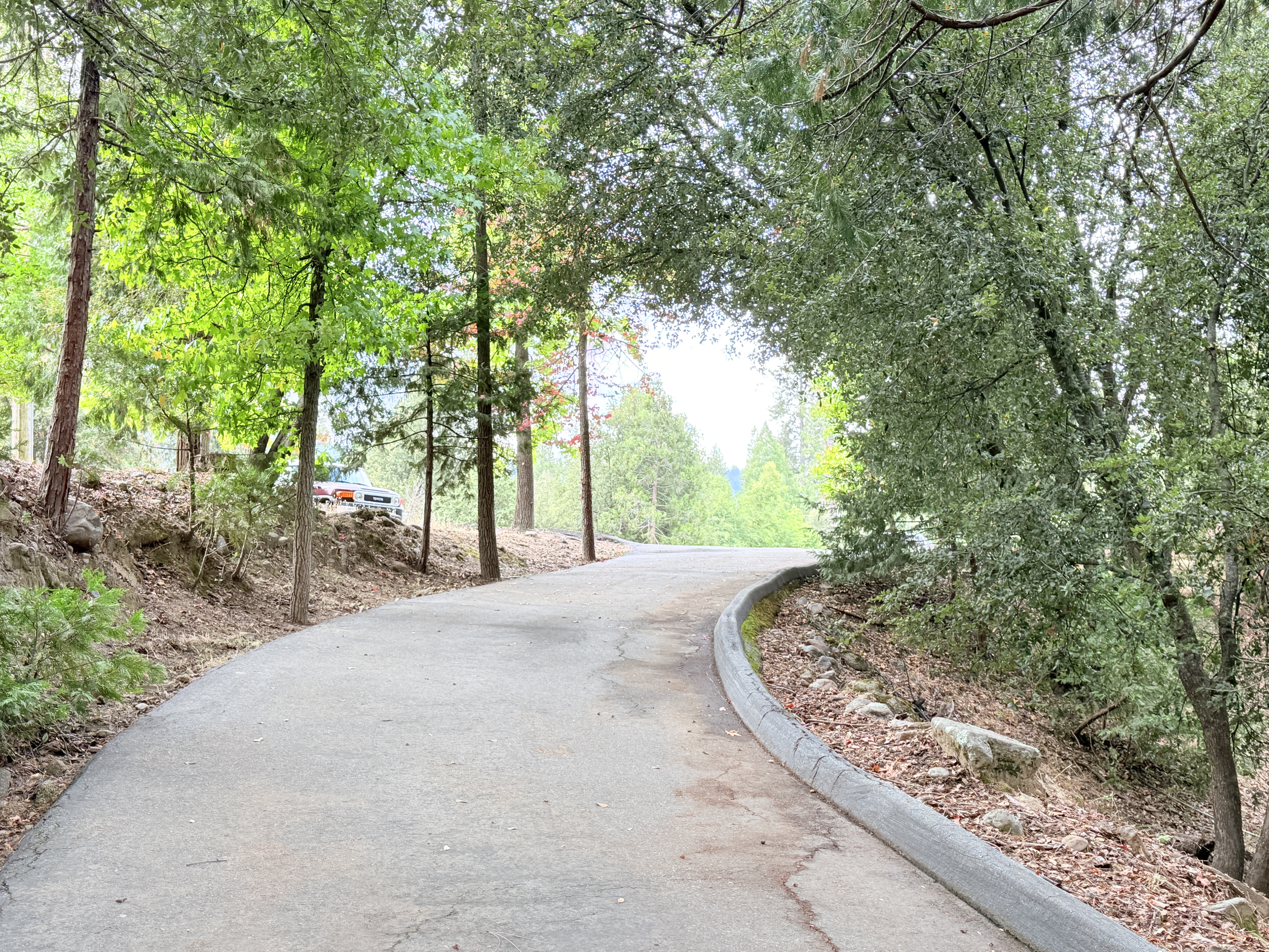 Mariposa, California, 95338, United States, 3 Bedrooms Bedrooms, ,3 BathroomsBathrooms,Residential,For Sale,1973787