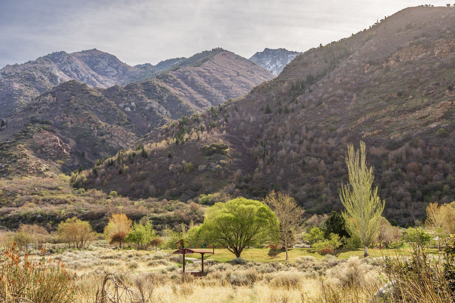  Updated Sandy Home With One of a Kind Location With Unobstructed Mountain Views - 物件實景