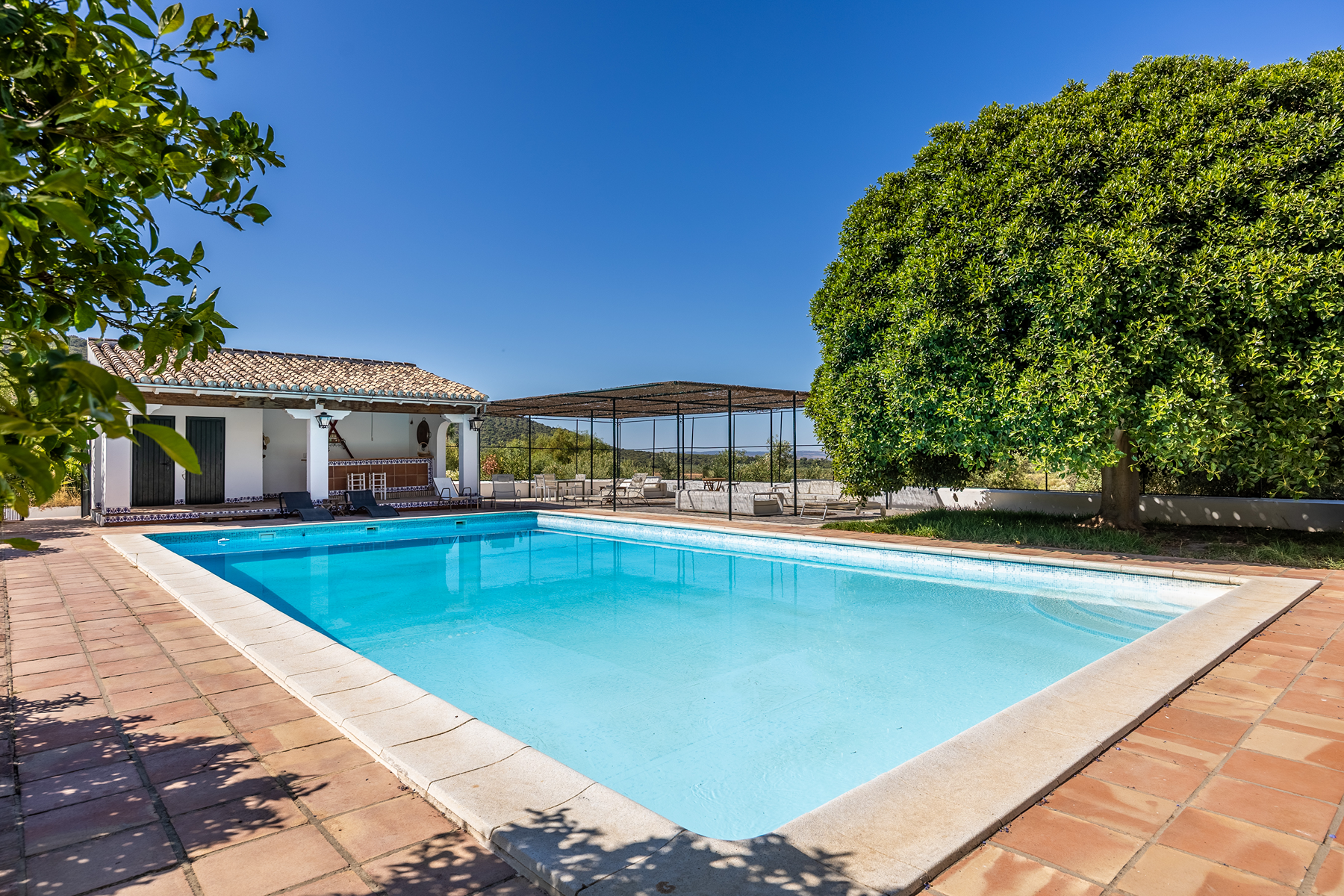  Country house in the province of Cádiz - 物件實景