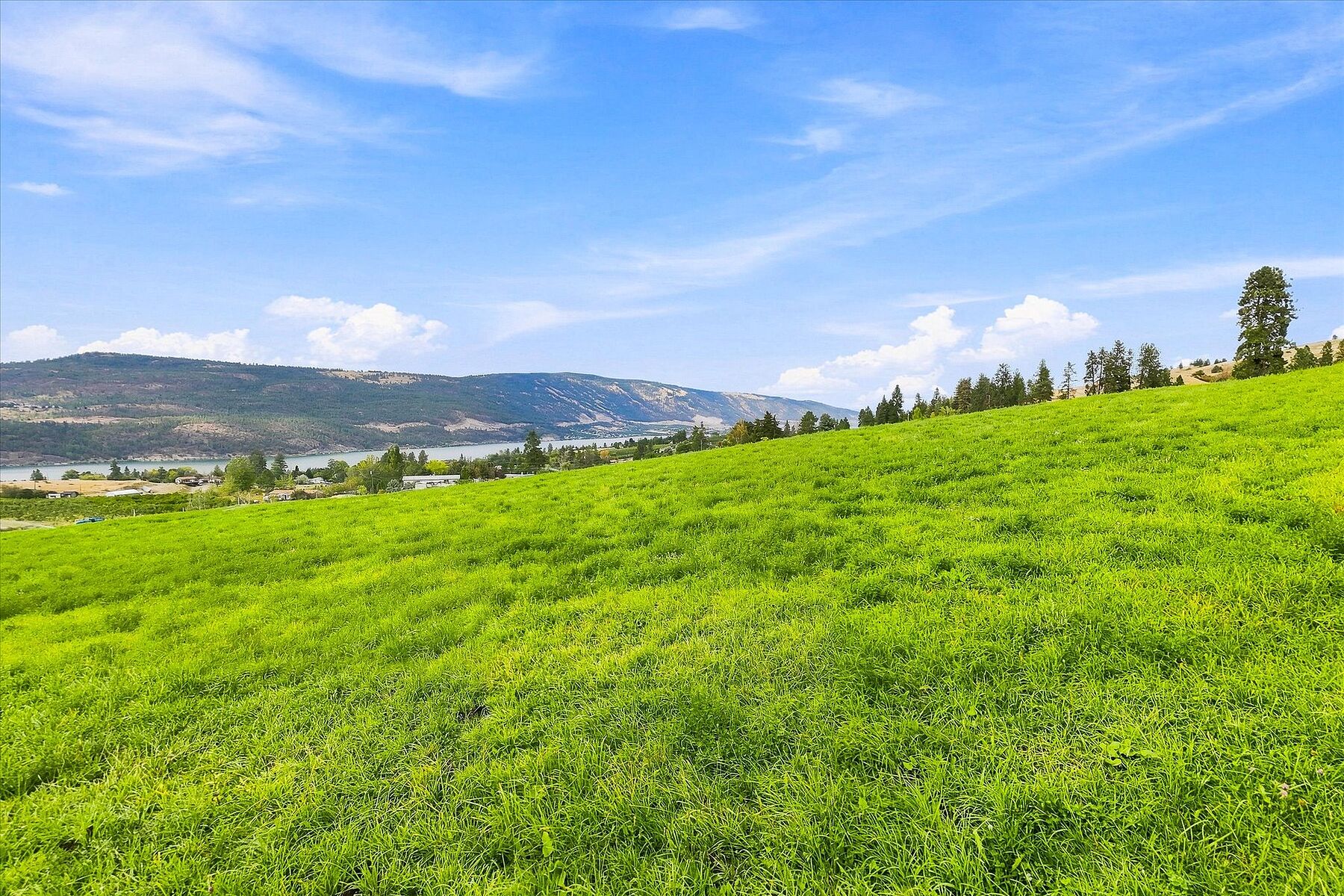  Productive Farmland in Oyama - 物件實景