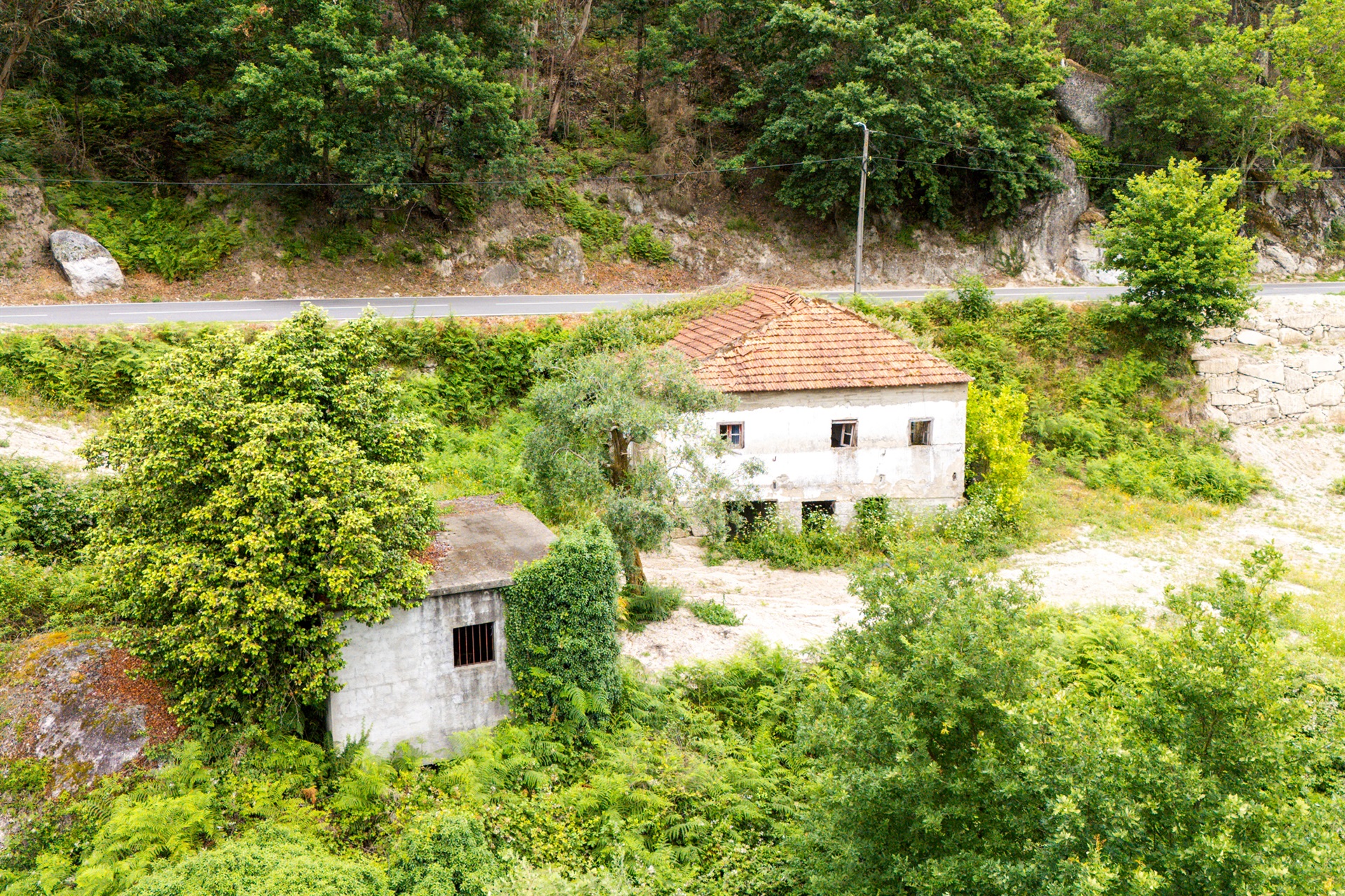  Farm, 3 bedrooms, for Sale - 物件實景