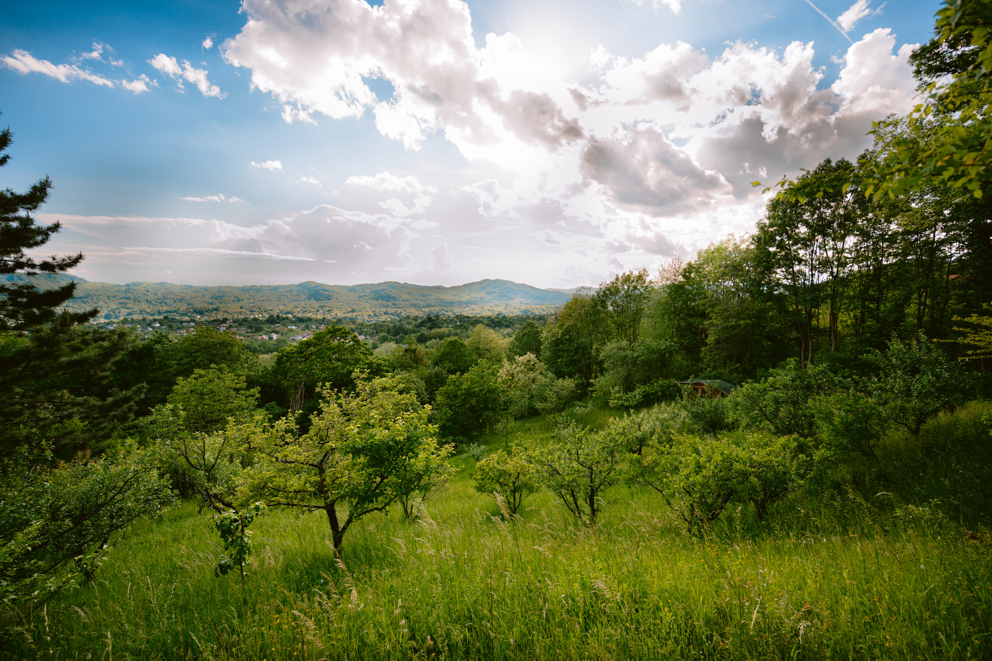  A Private Retreat Above the Prahova Valley - 物件實景
