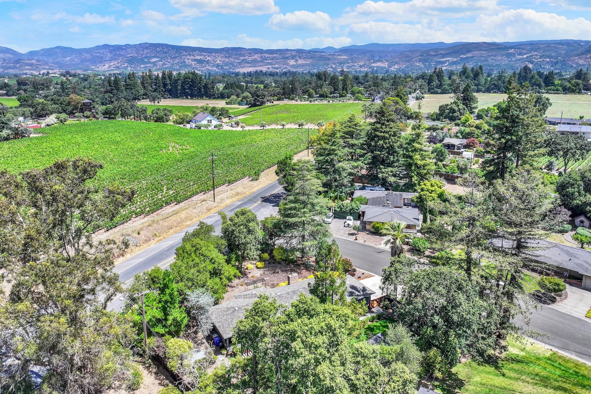  Style and Comfort in Napa - 物件實景
