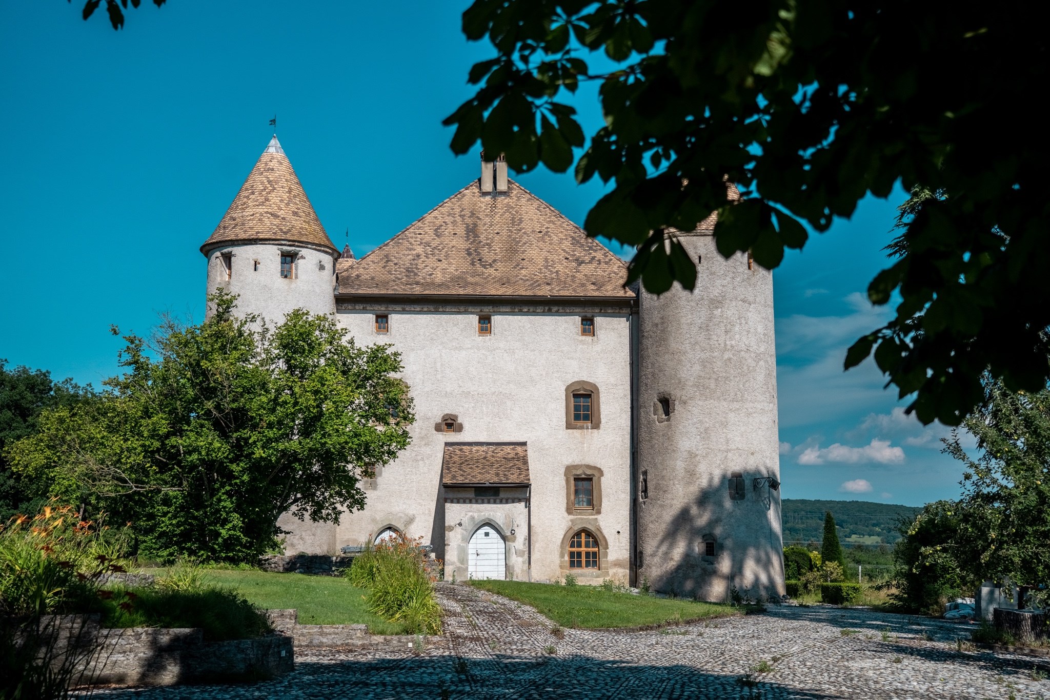  Castle at the Gates of Geneva - 物件實景