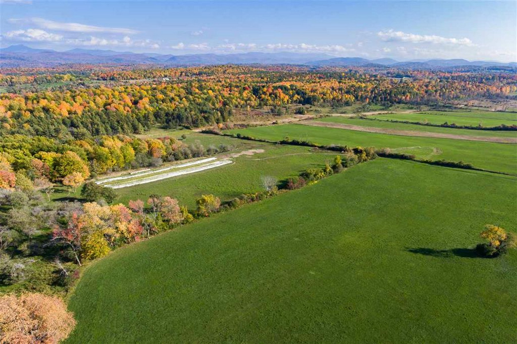  1555 Spear Street - 物件實景
