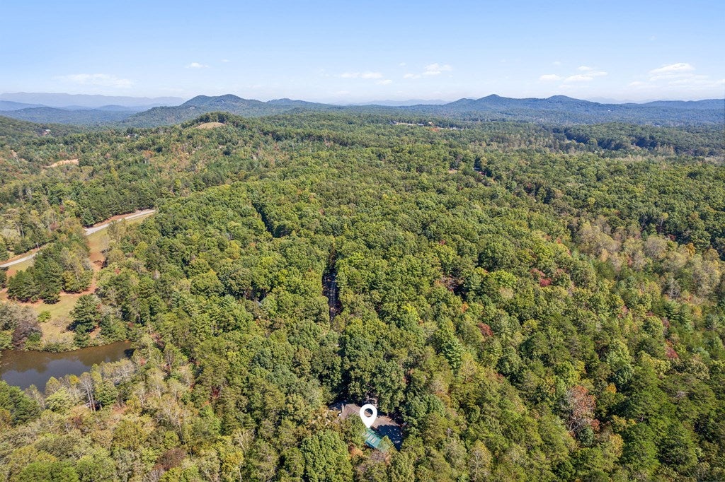 Morganton, Georgia, 30560, United States, 3 Bedrooms Bedrooms, ,4 BathroomsBathrooms,Residential,For Sale,1858984